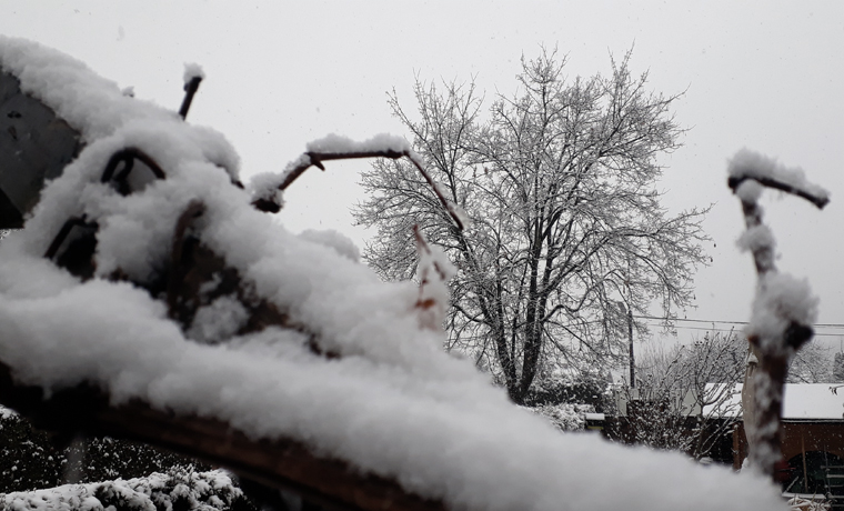 first-snow_garden_topgrape.jpg