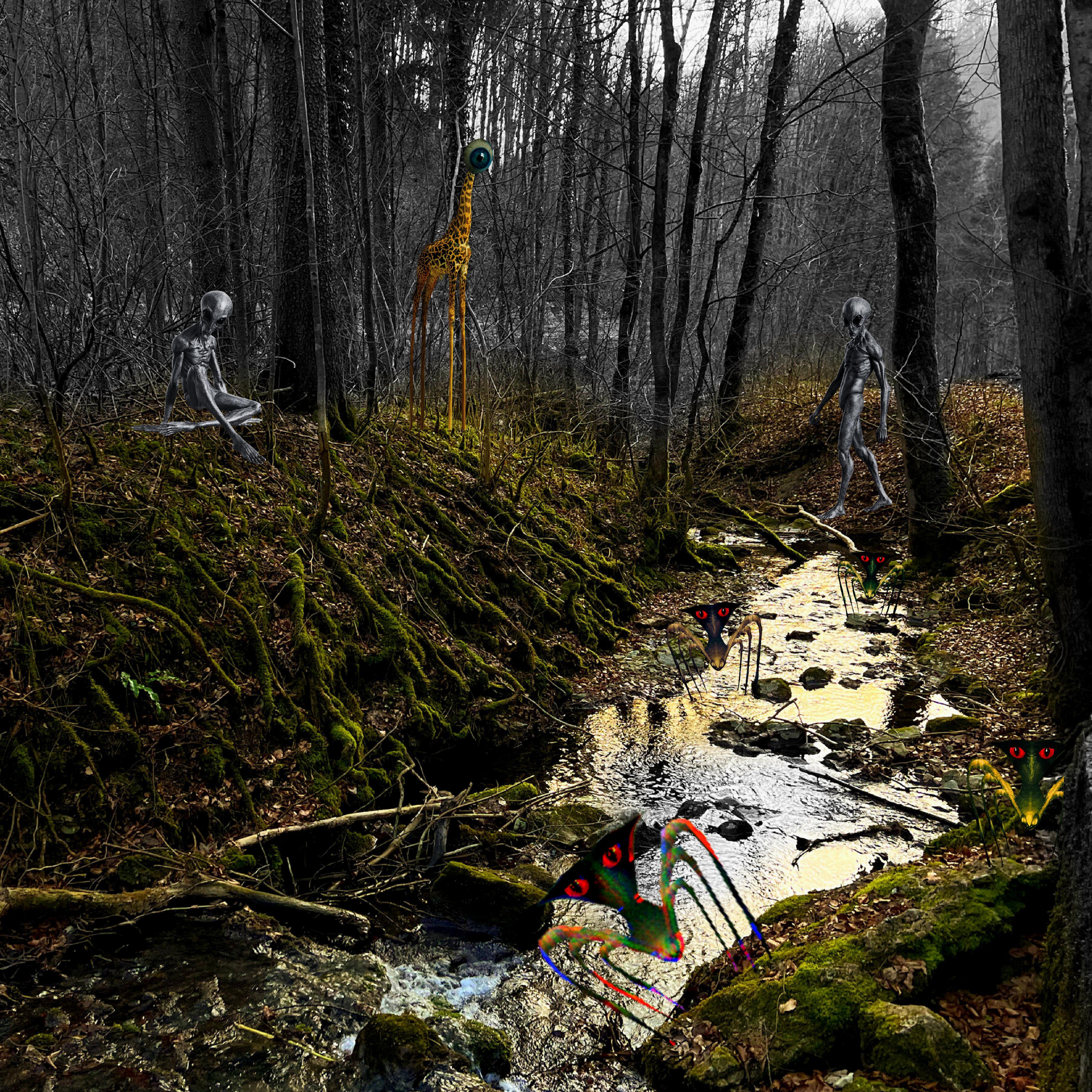 Untitled design (2.0).jpg