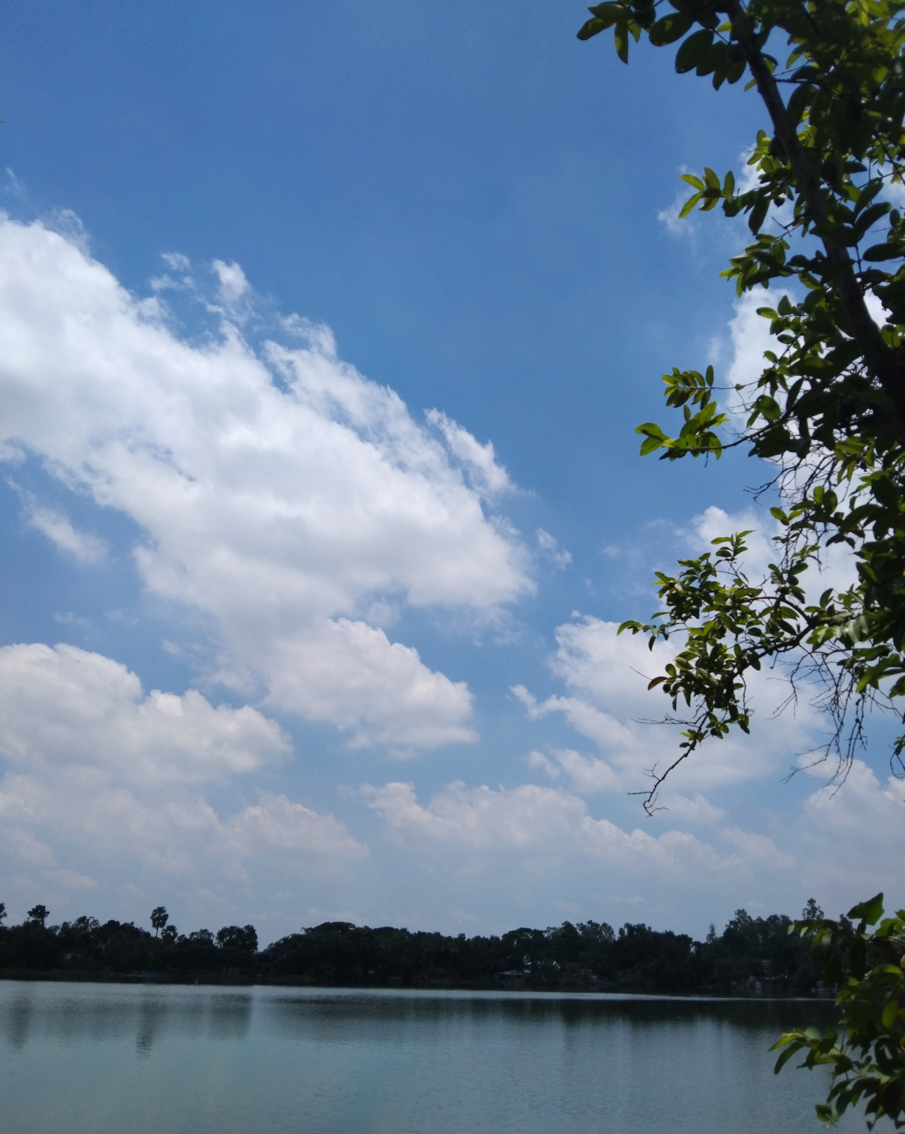 IMG_20250723_101302.jpg