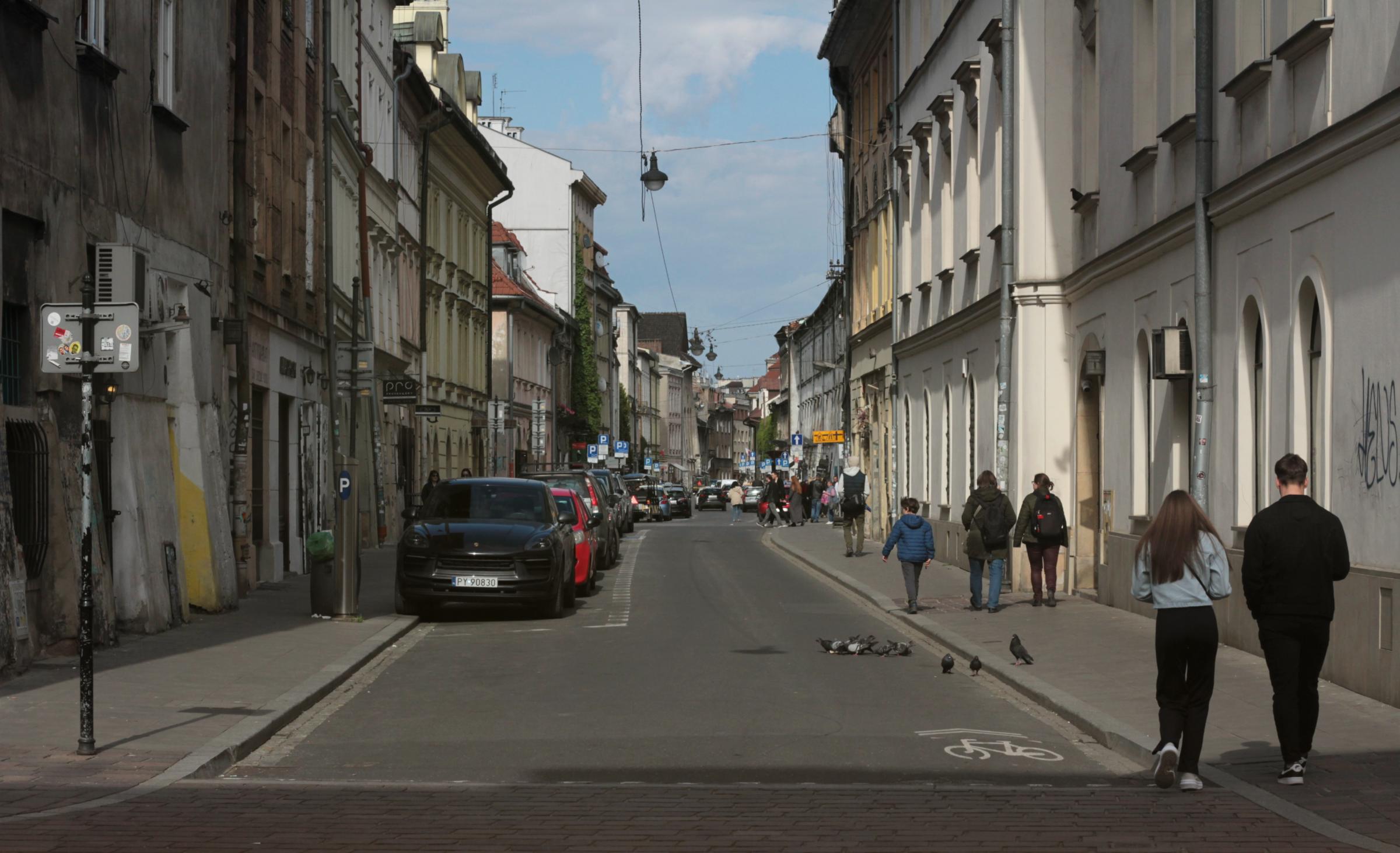 IMG_7252-crop.JPG