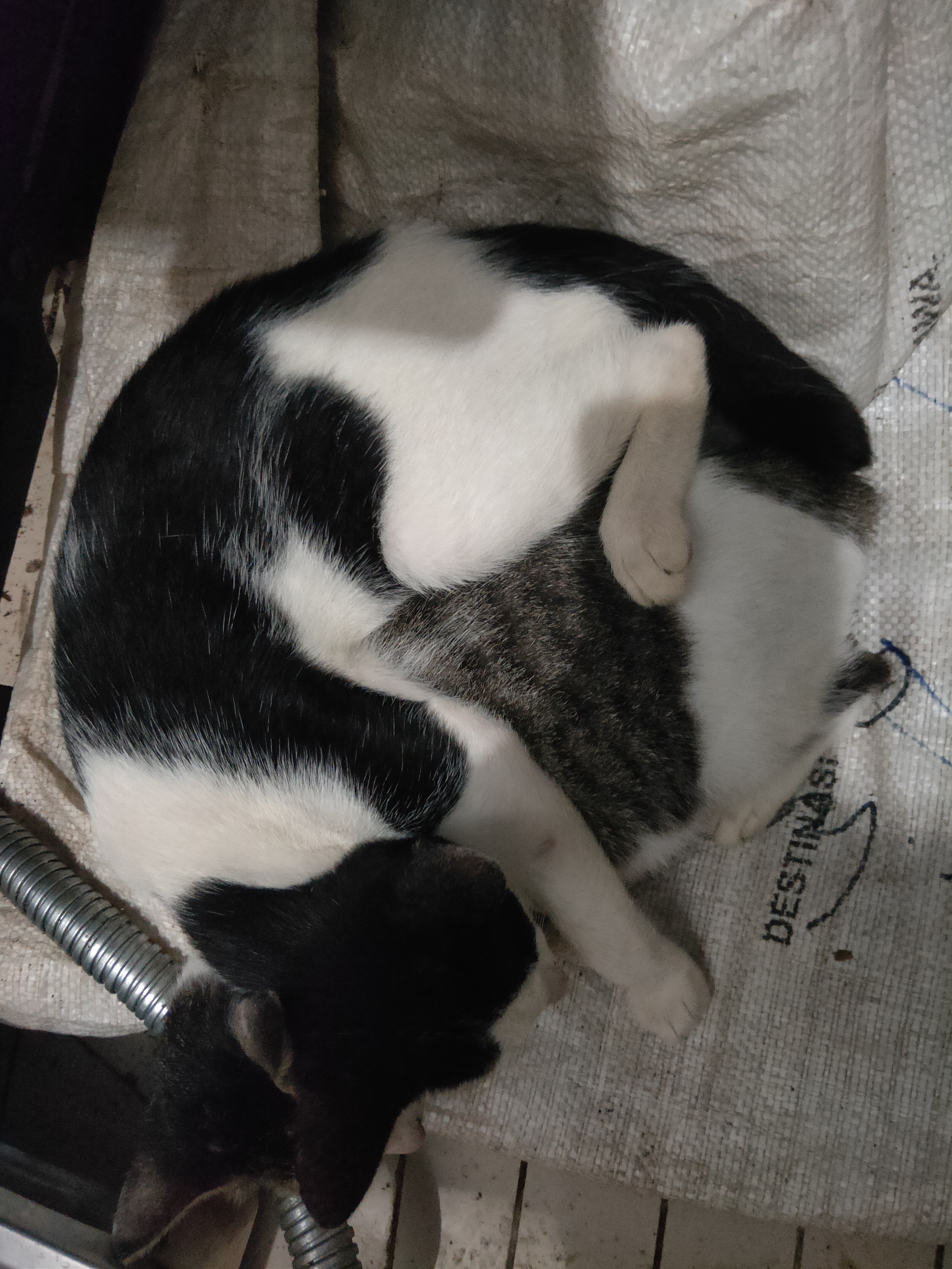 IMG20211203010915.jpg