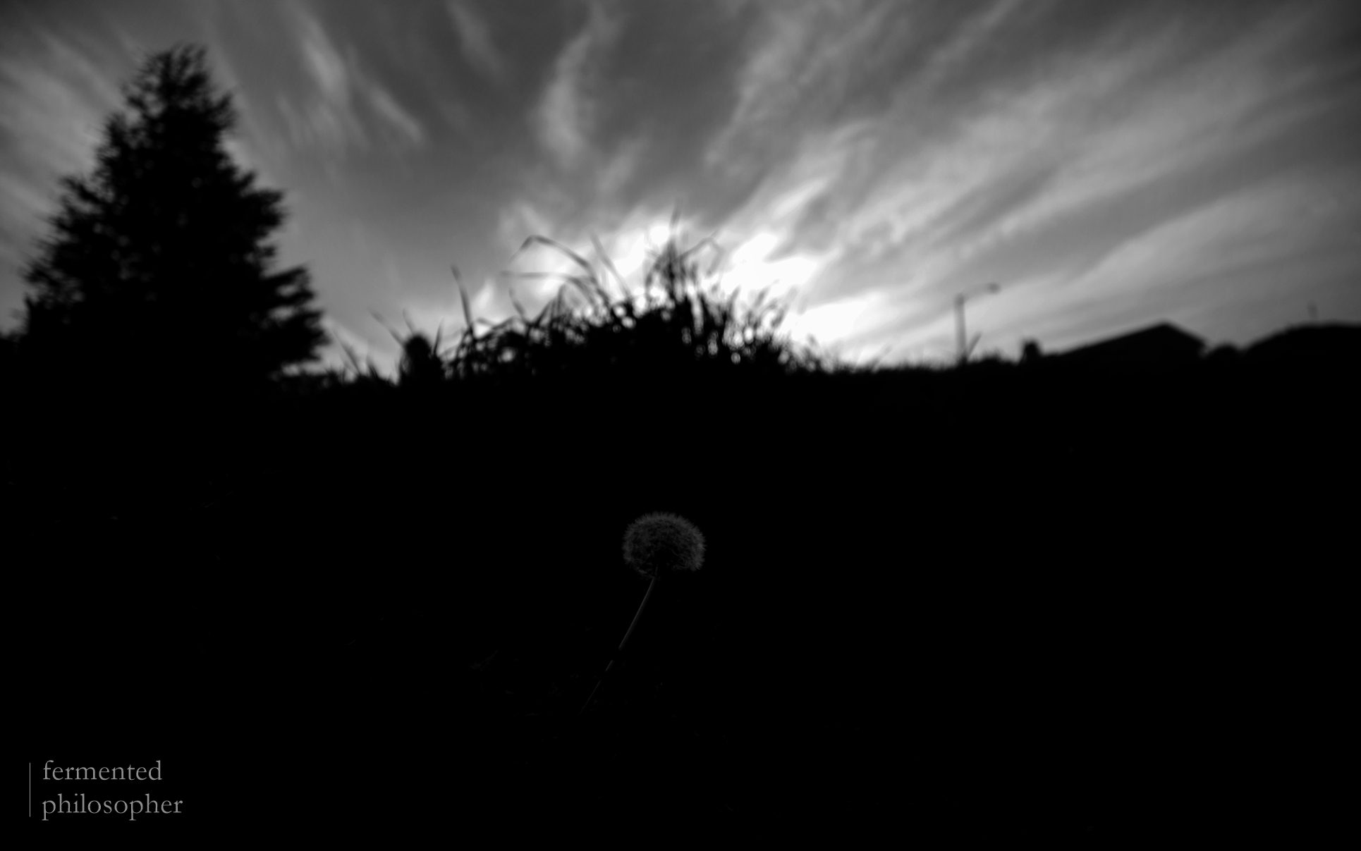 _DSC9497.JPG