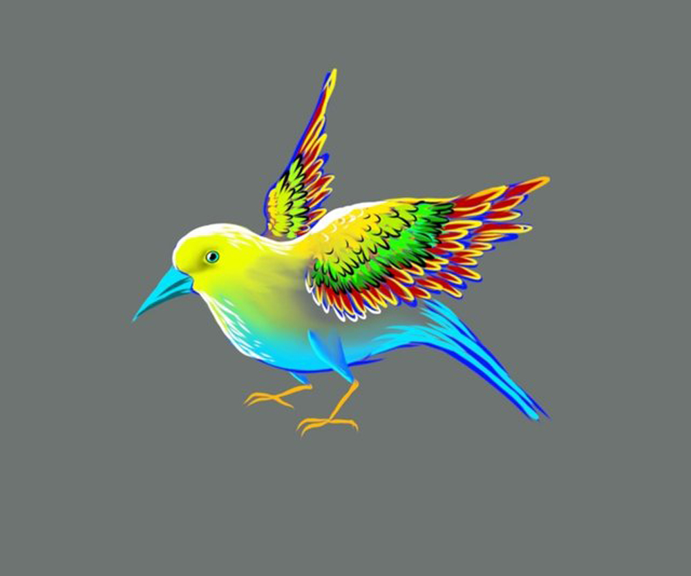 Colorful Drawings of Birds