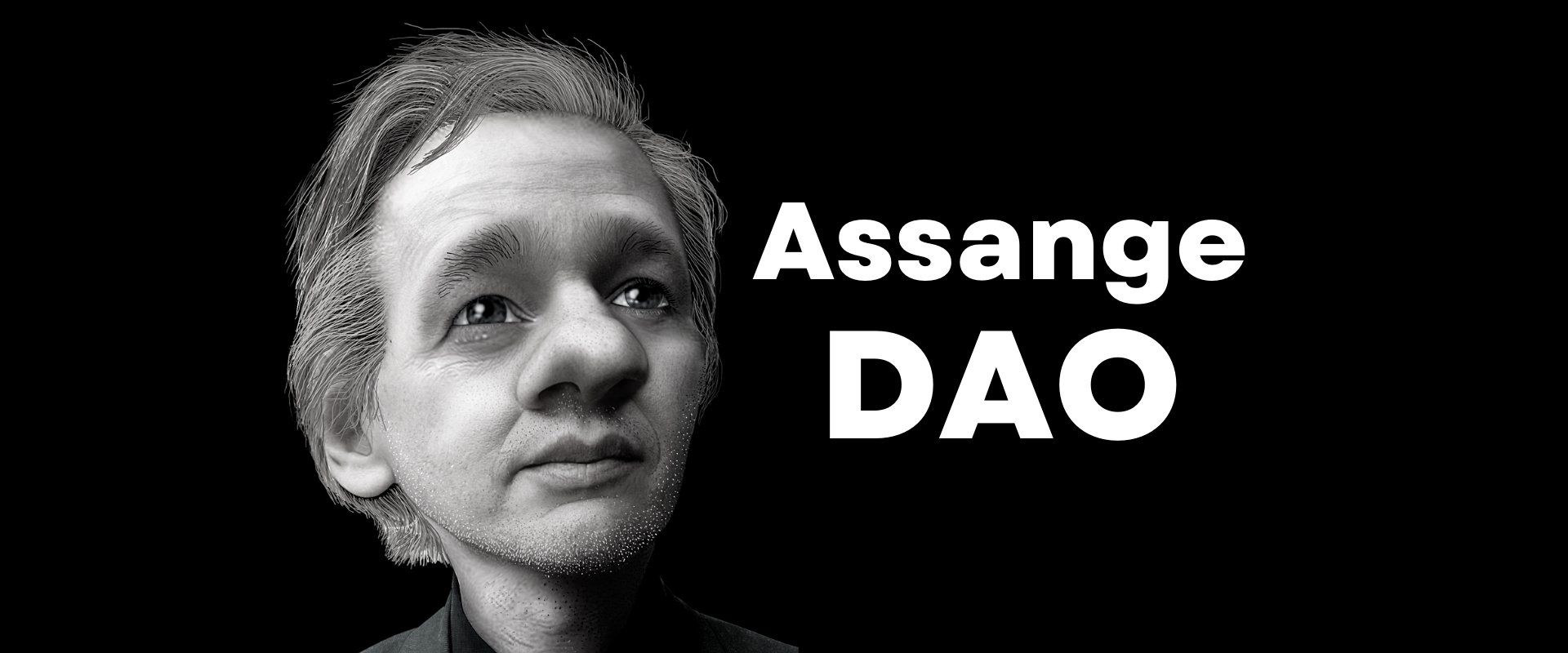 Assange DAO.png