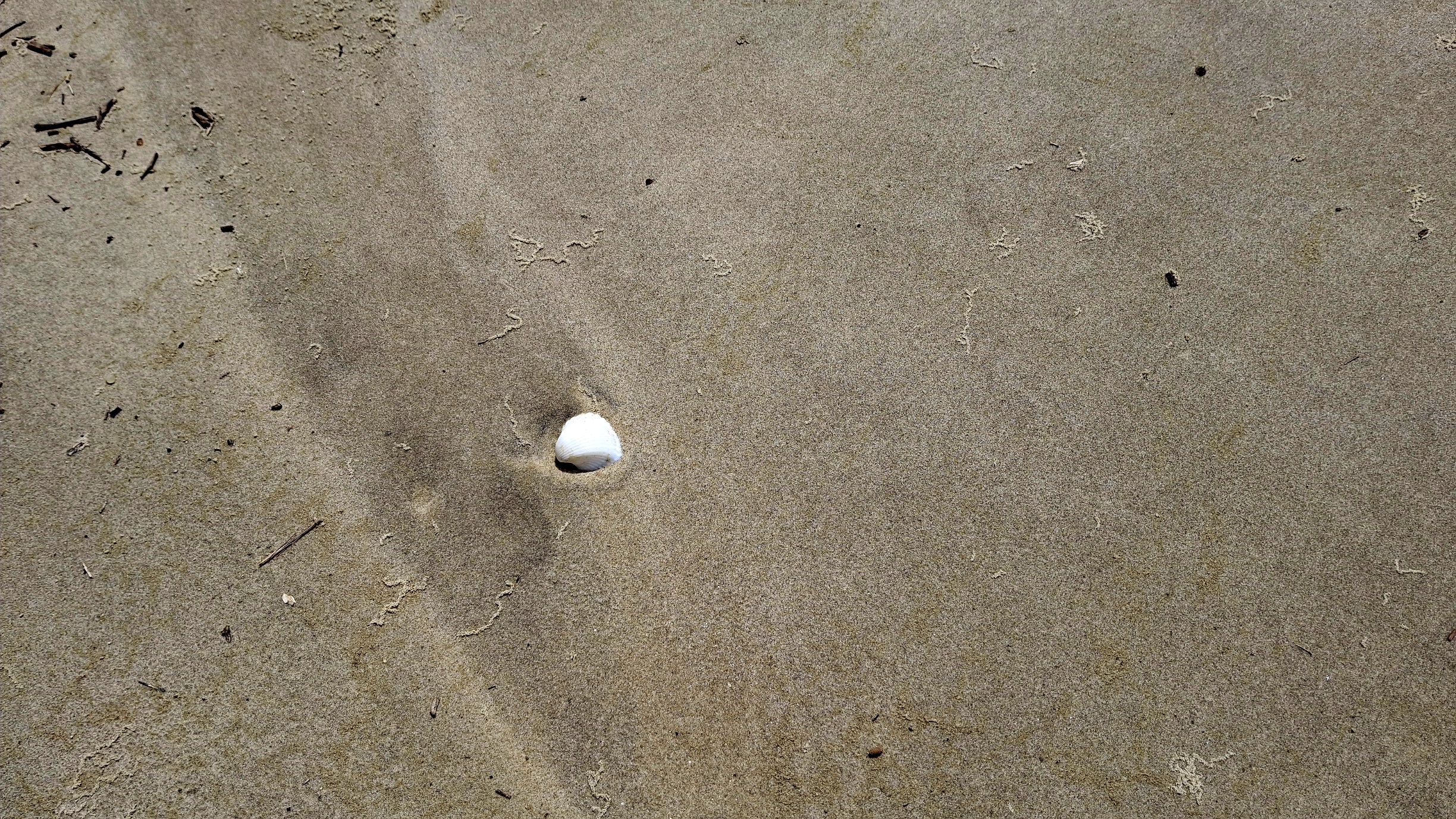 20250621_105642.jpg
