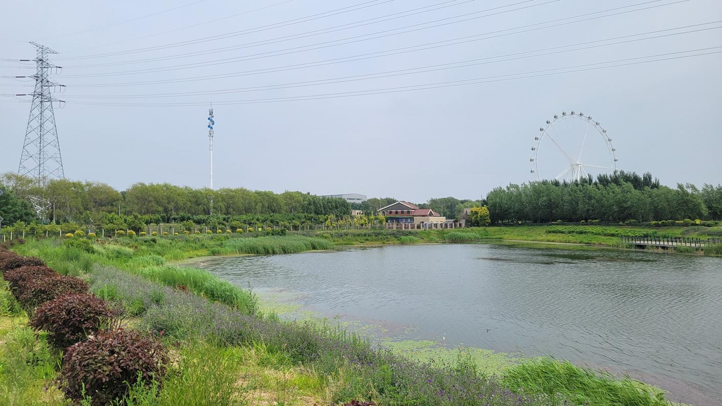 20240621_134706.jpg