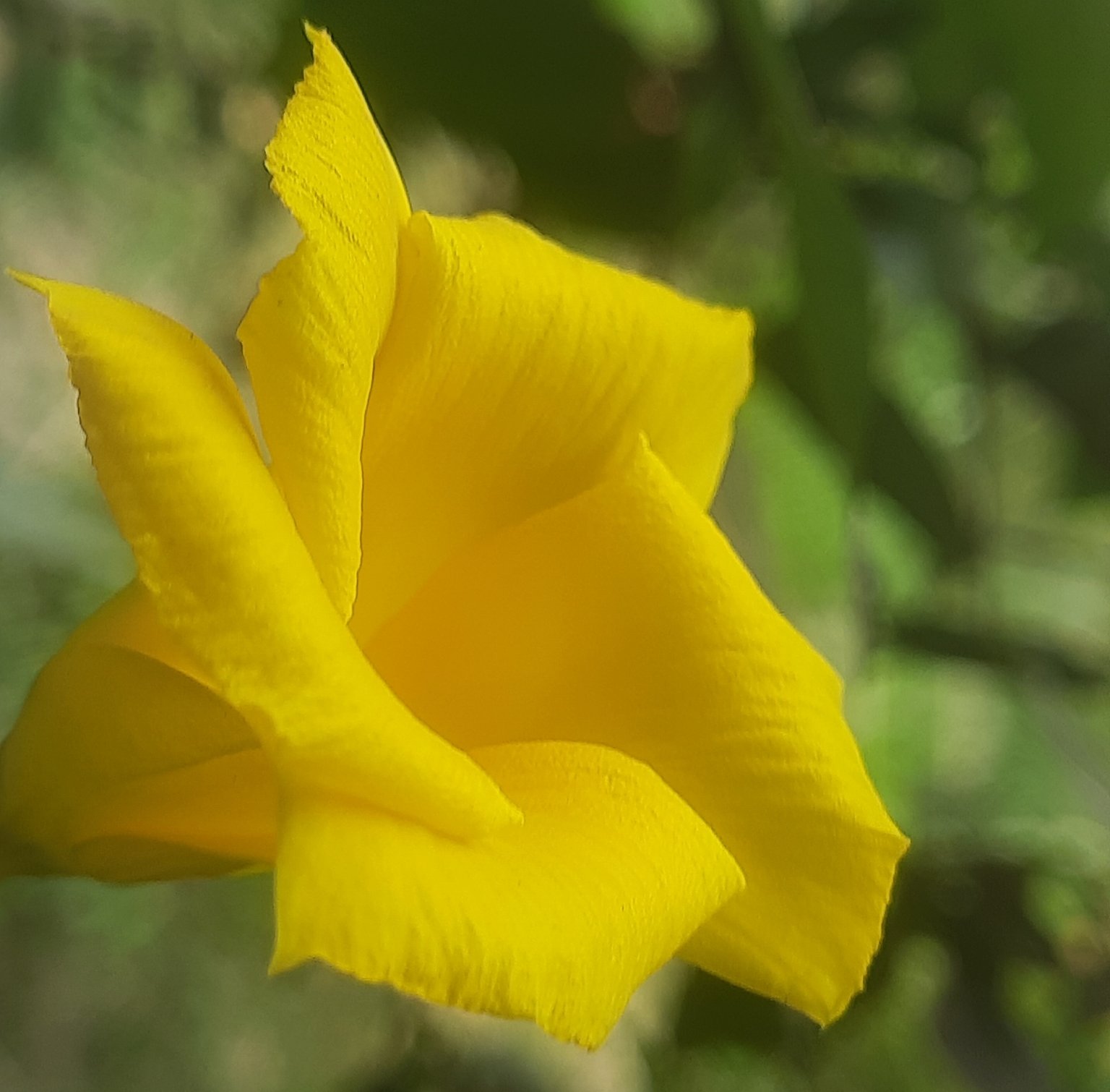 RGgukq5E6HBNvuPpuJoWwfXPpi5ckcLESTB3nmmnPETMwEdJ45wMgsRxPxLTiYgfTHZPqhrZMFtAMAgzgWpUnqamEeR5XoHbrT8r35vujXkcwBW4niLtRKz8iMCyfQi.jpeg