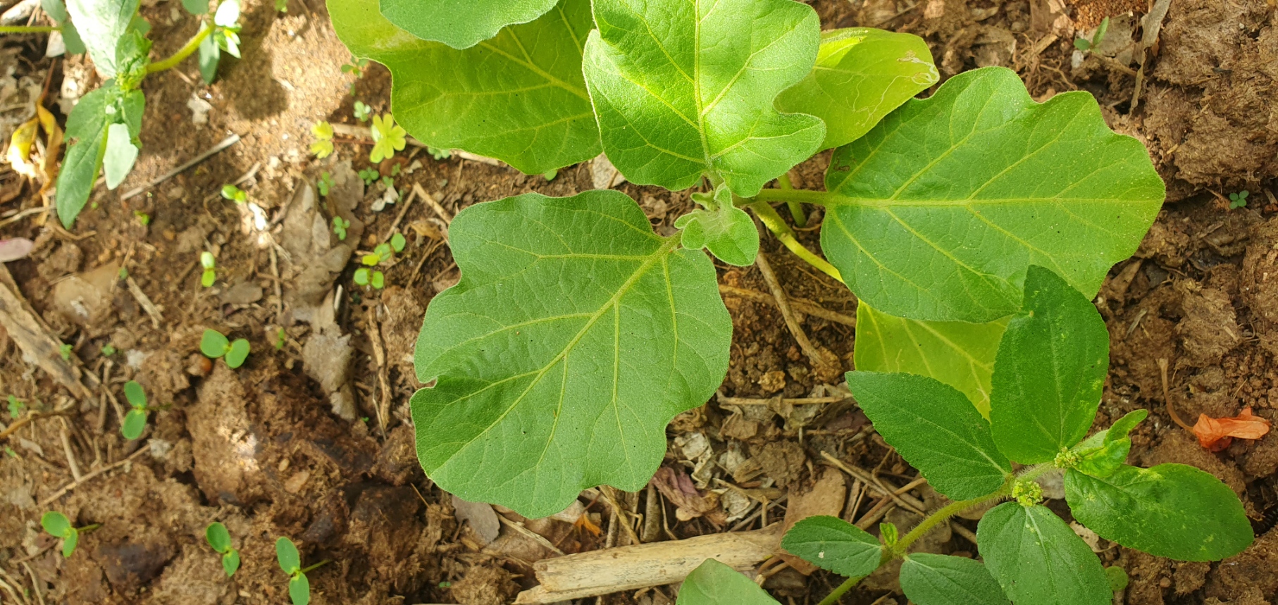 20230909_082525.jpg