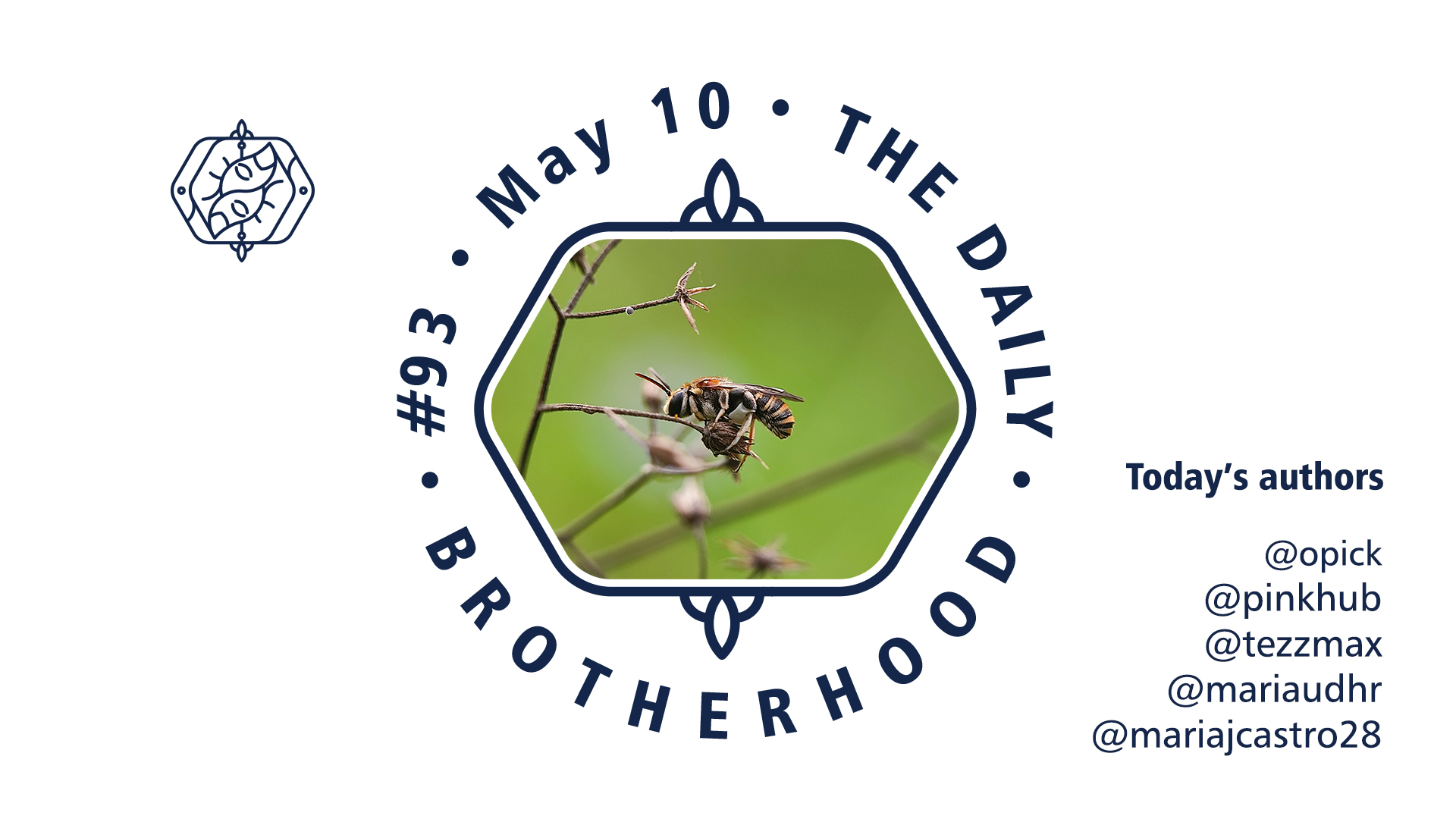 logo_brotherhood_08_93.jpg