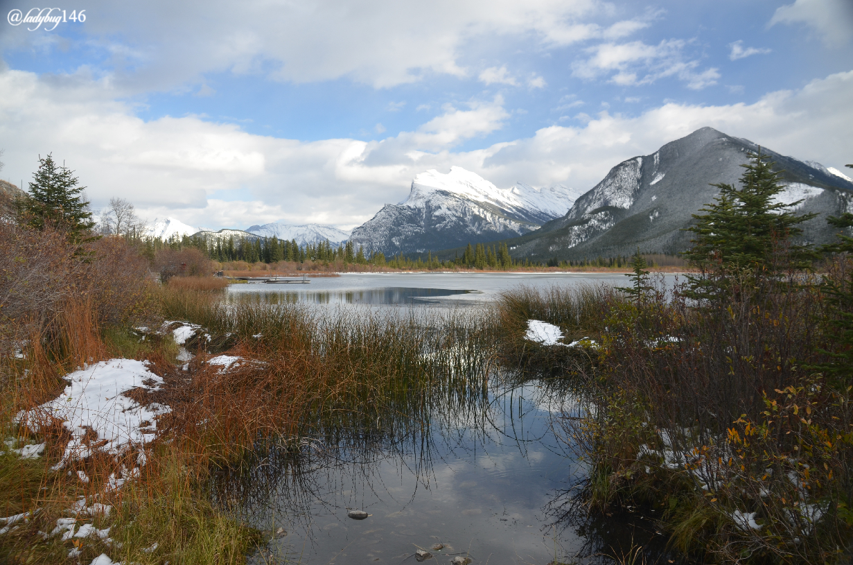 vermillion lakes (2).jpg