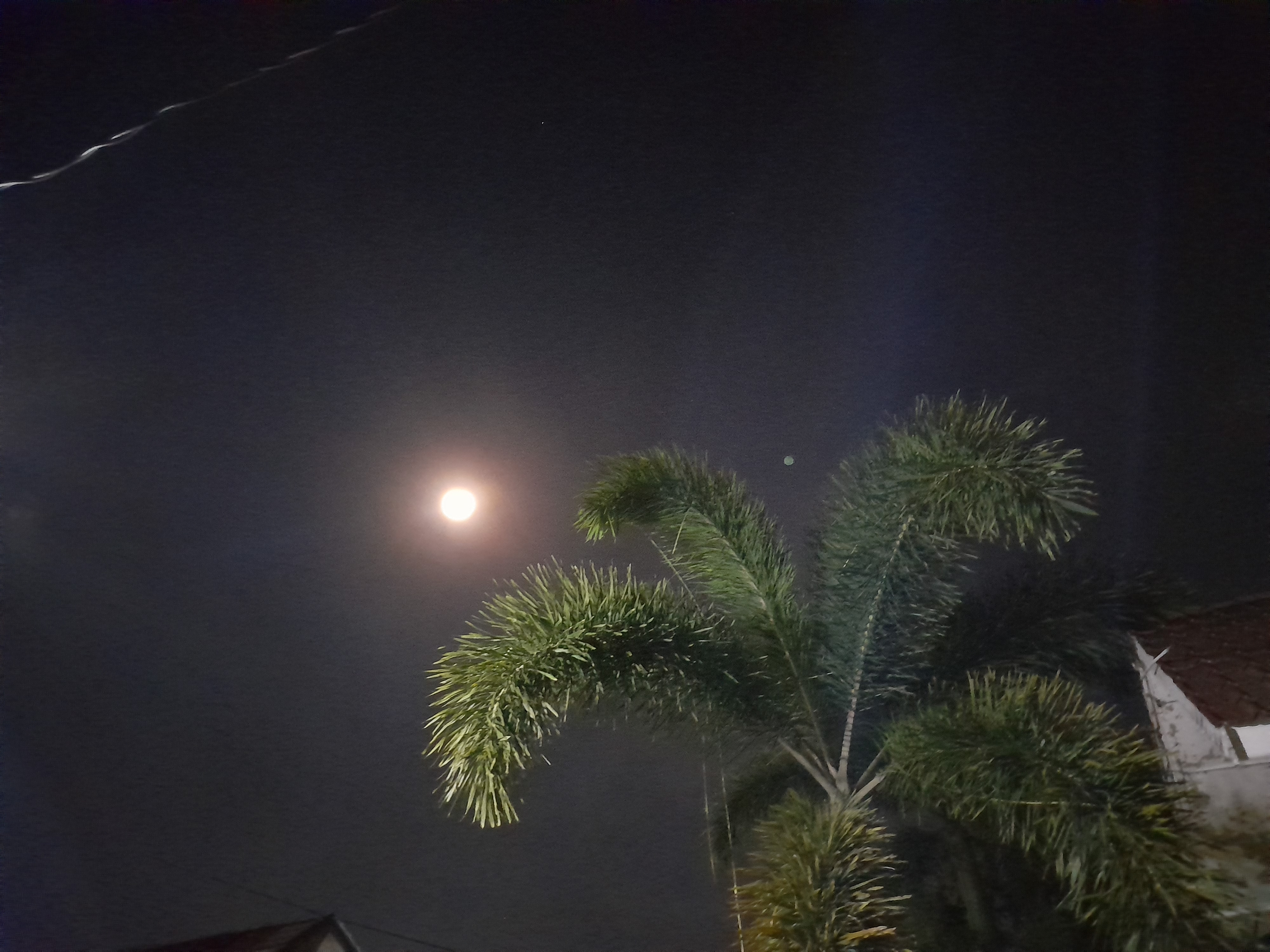 bulan1.jpg