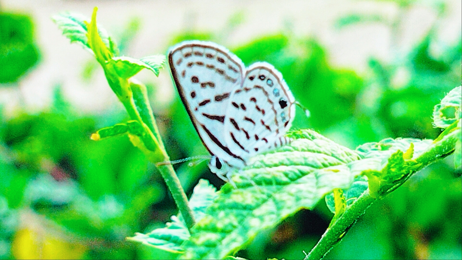 BeautyPlus_20250504231155794_save.jpg
