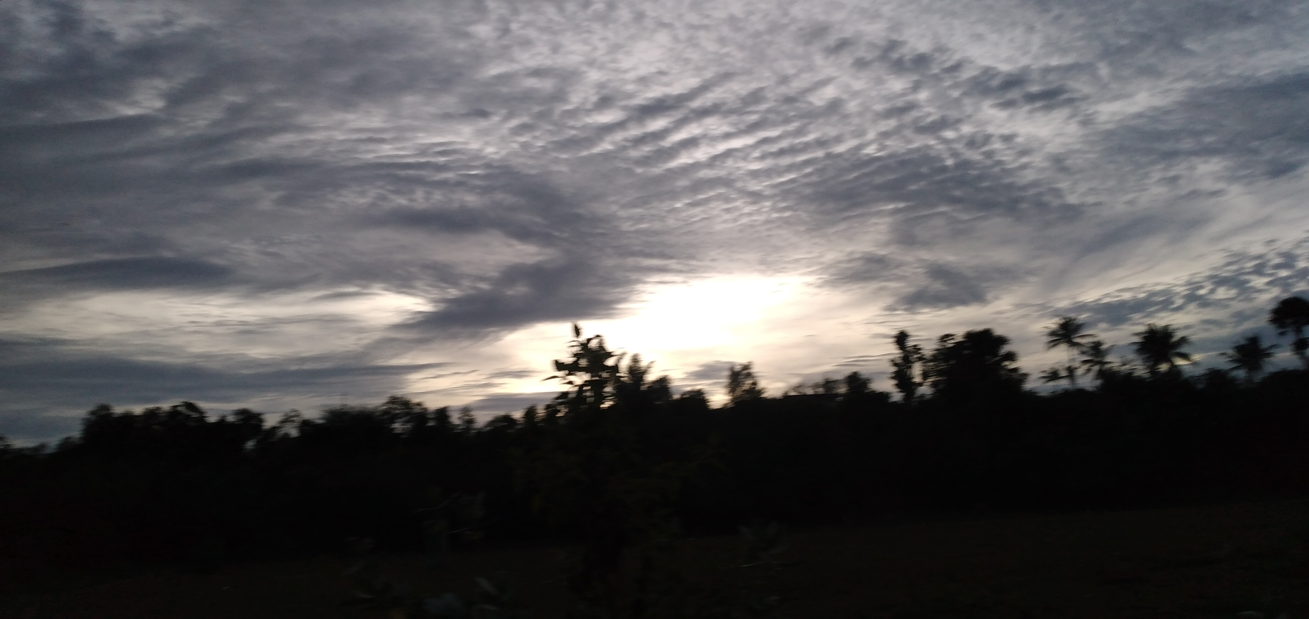 20230123_184235.jpg