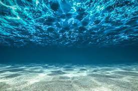 ocean floor.jpeg