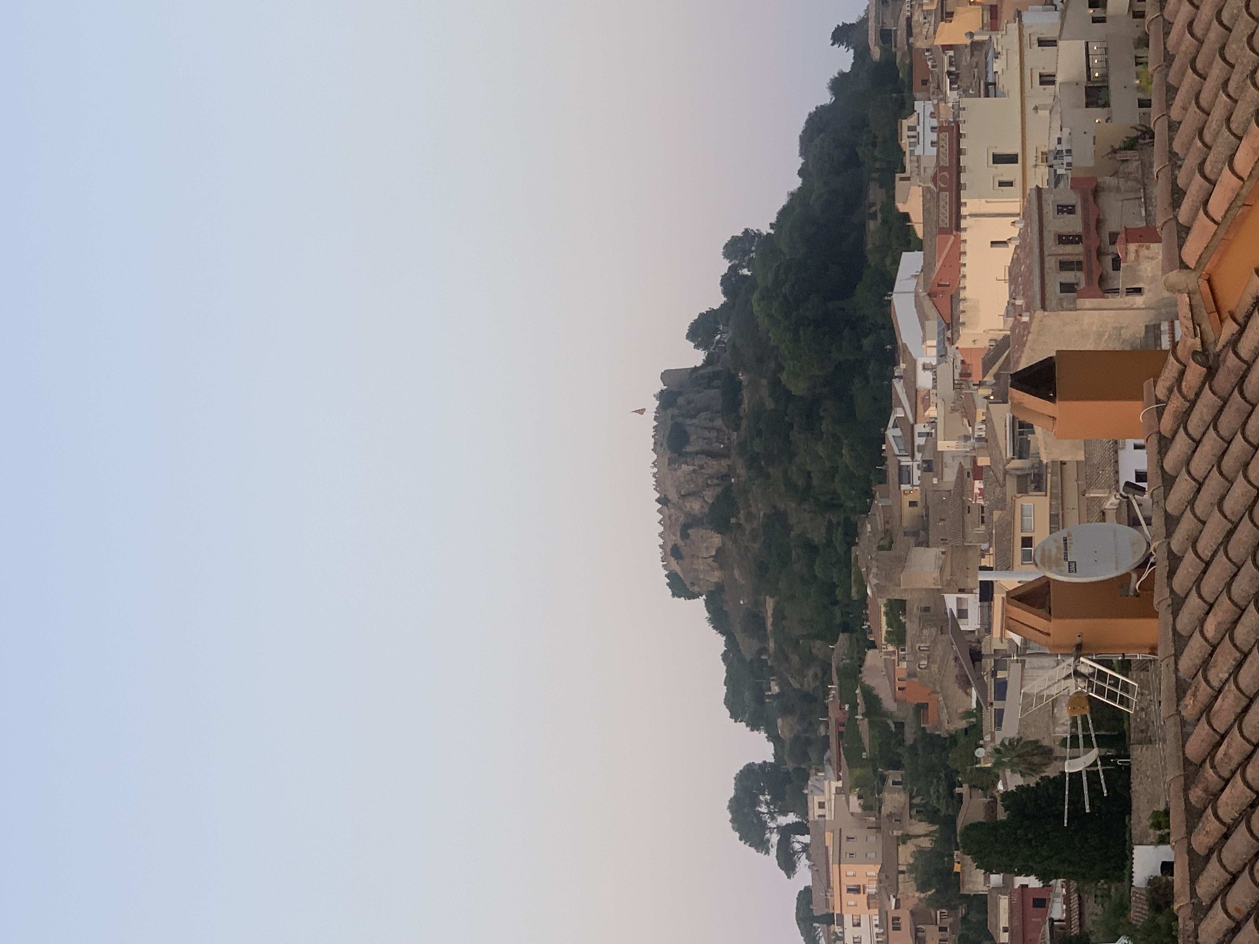 IMG_2025.jpeg