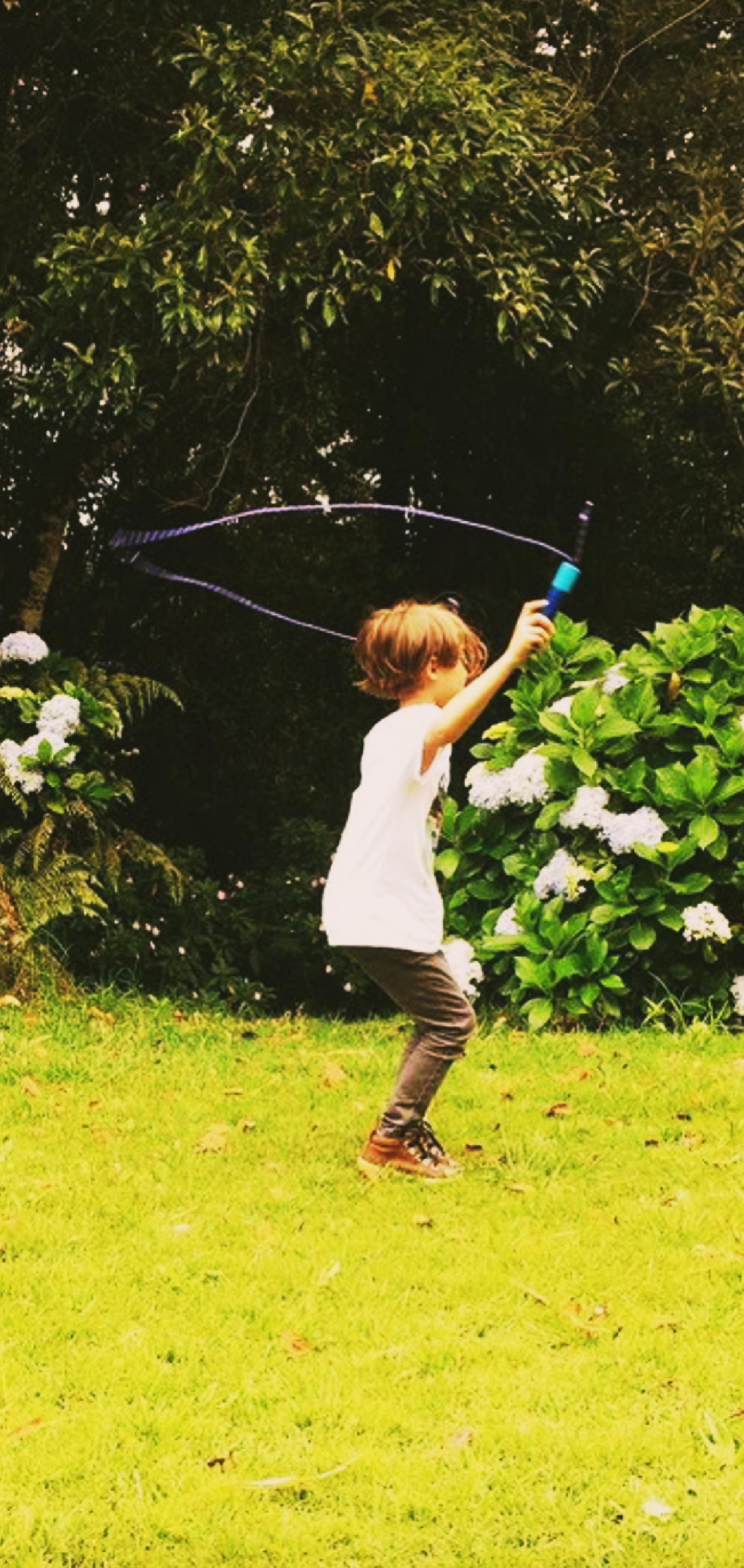 InShot_20220128_174547497.jpg