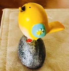 IMG_4433.jpeg