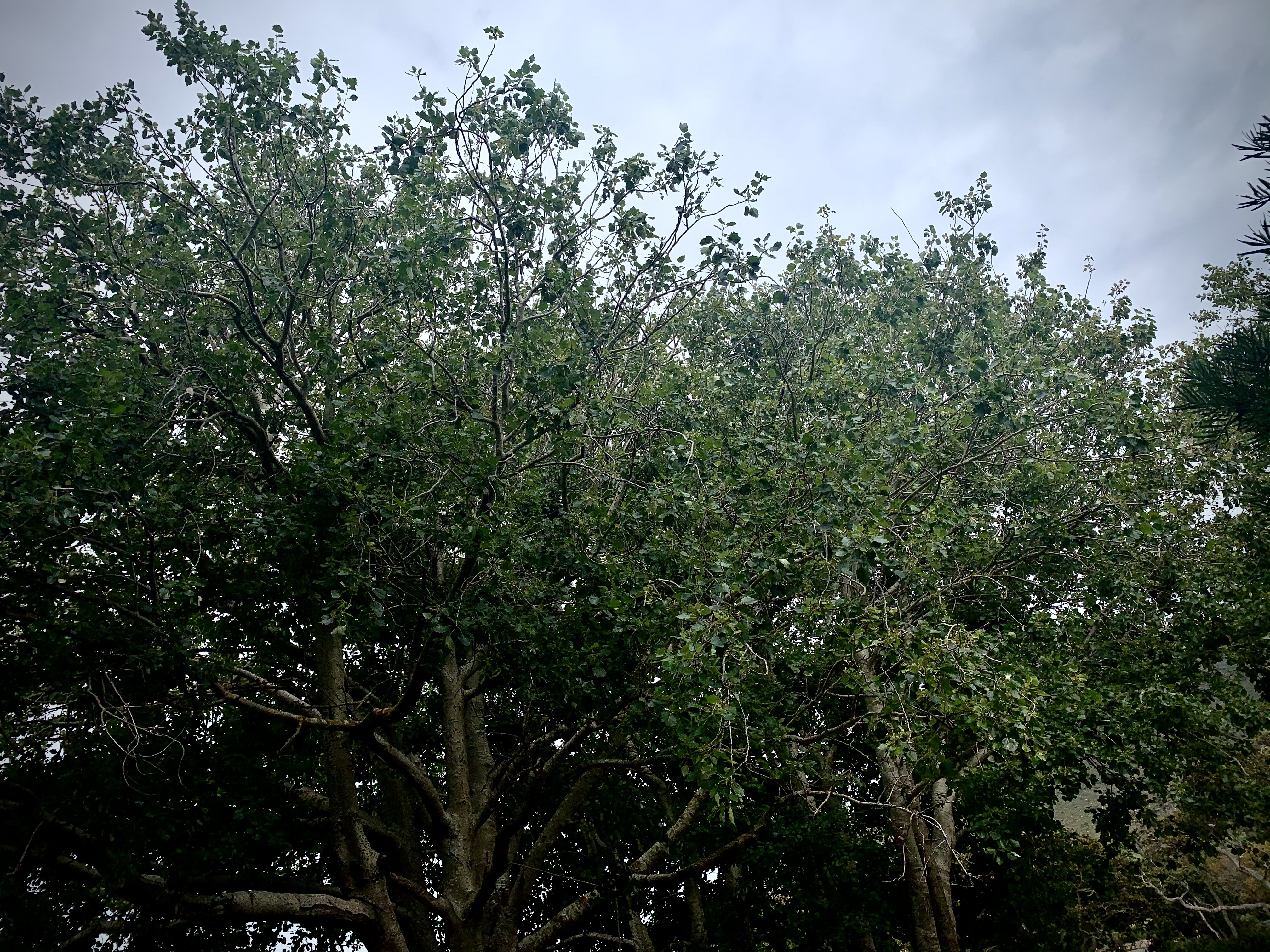B74E5583-43F2-4E17-80DE-136869A8A6C3.jpeg