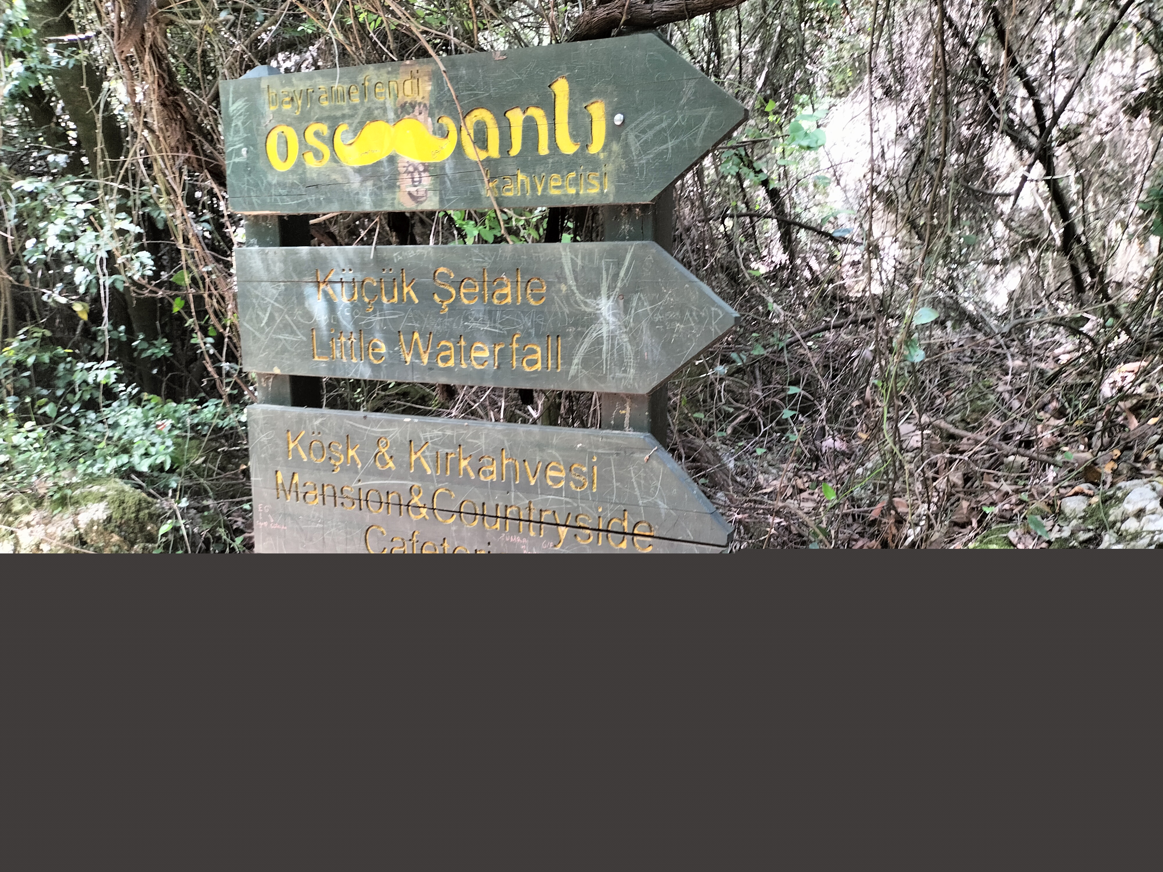 IMG20250511151821.jpg
