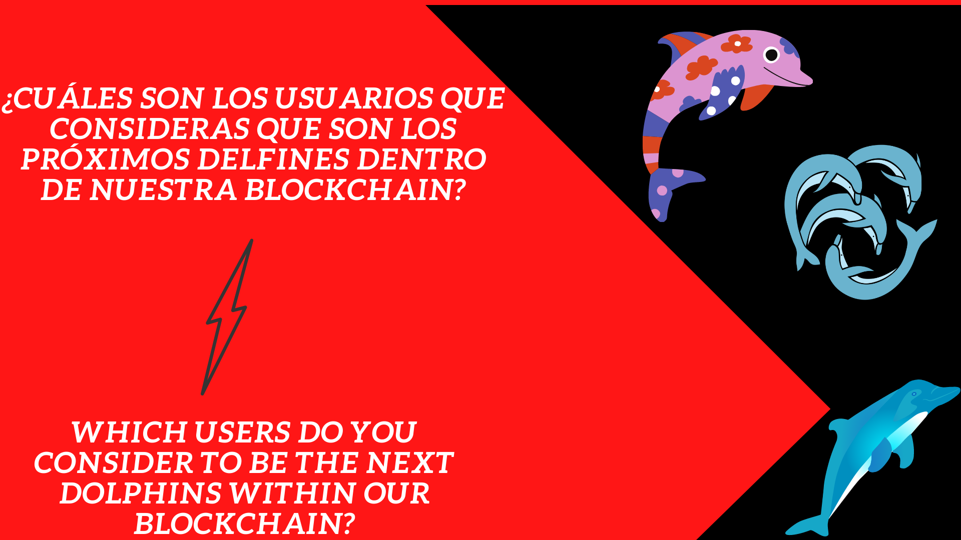 ¿Cuáles son los usuarios que consideras que son los próximos delfines dentro de nuestra blockchain.png