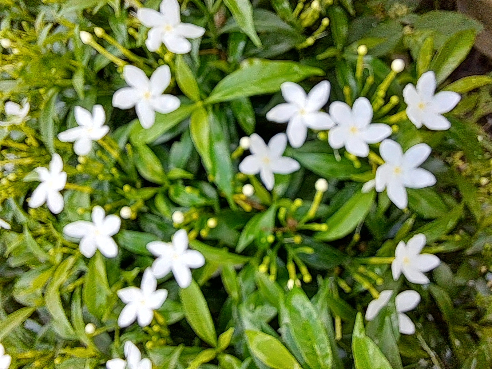 20221010_125955.jpg