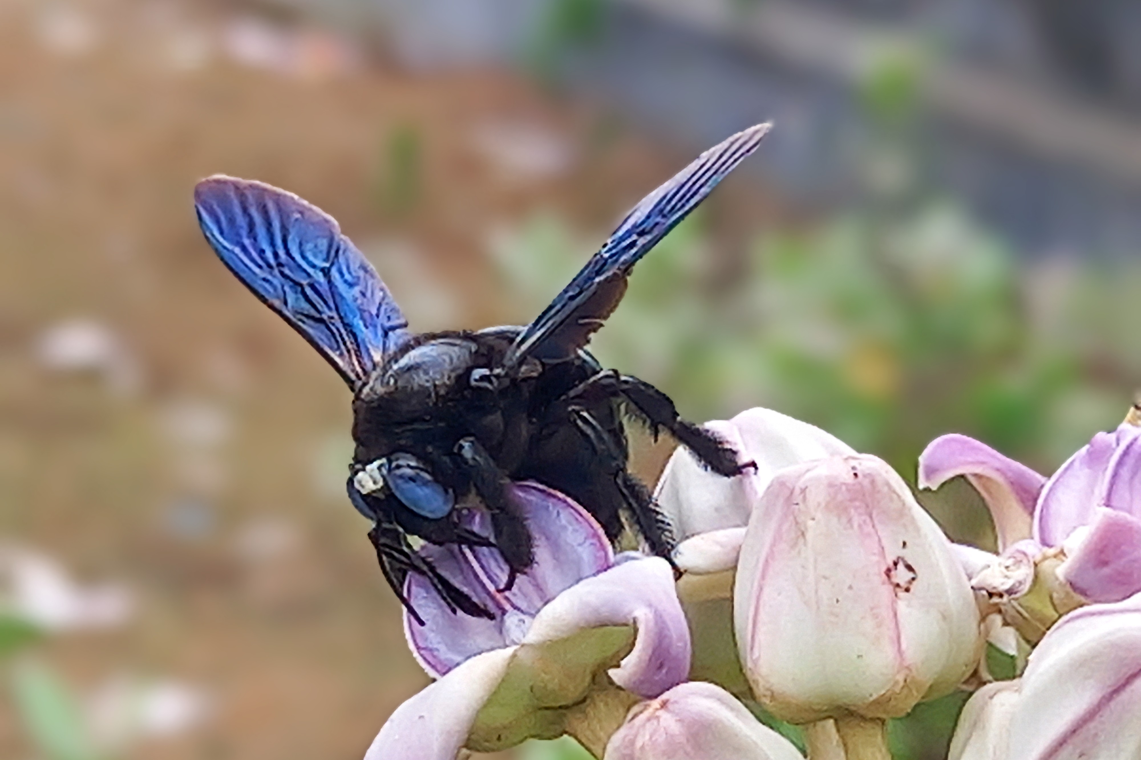 20250415_123700~2.jpg
