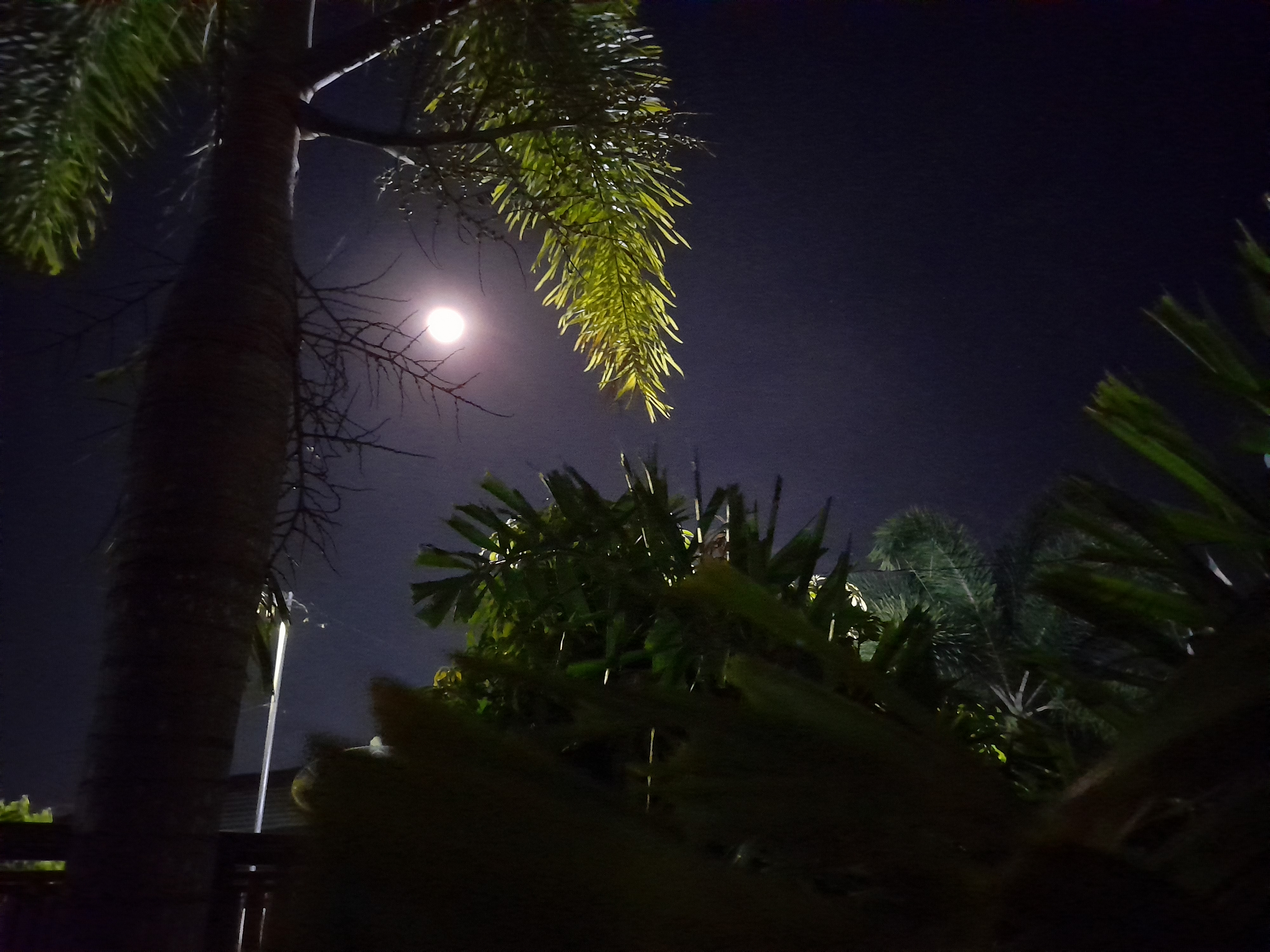 bulan4.jpg