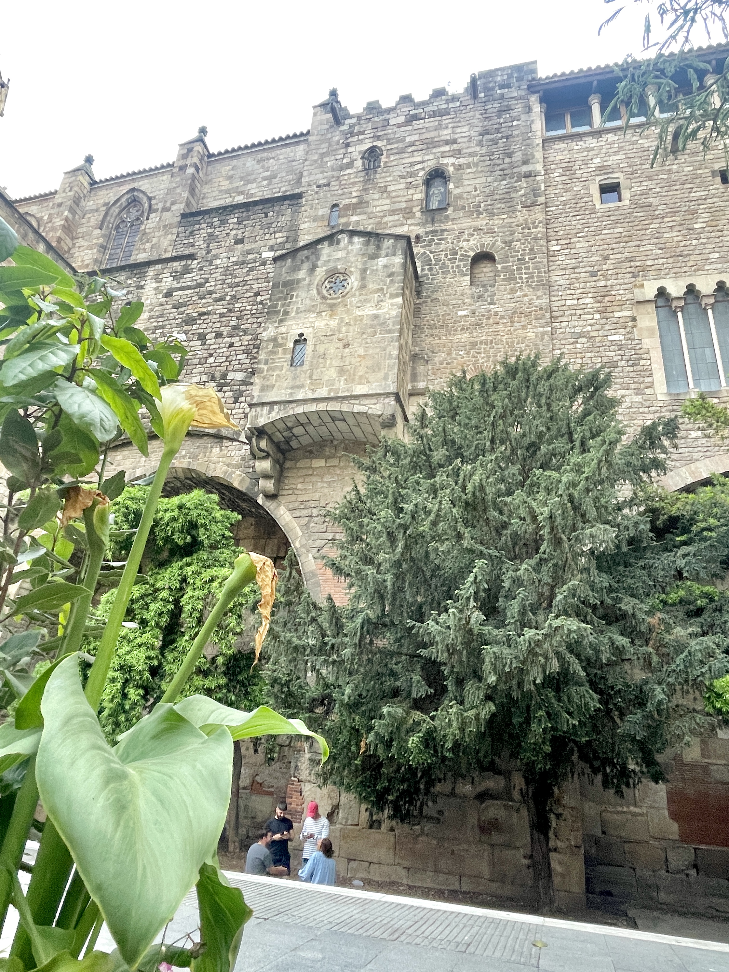 IMG_5643.jpeg