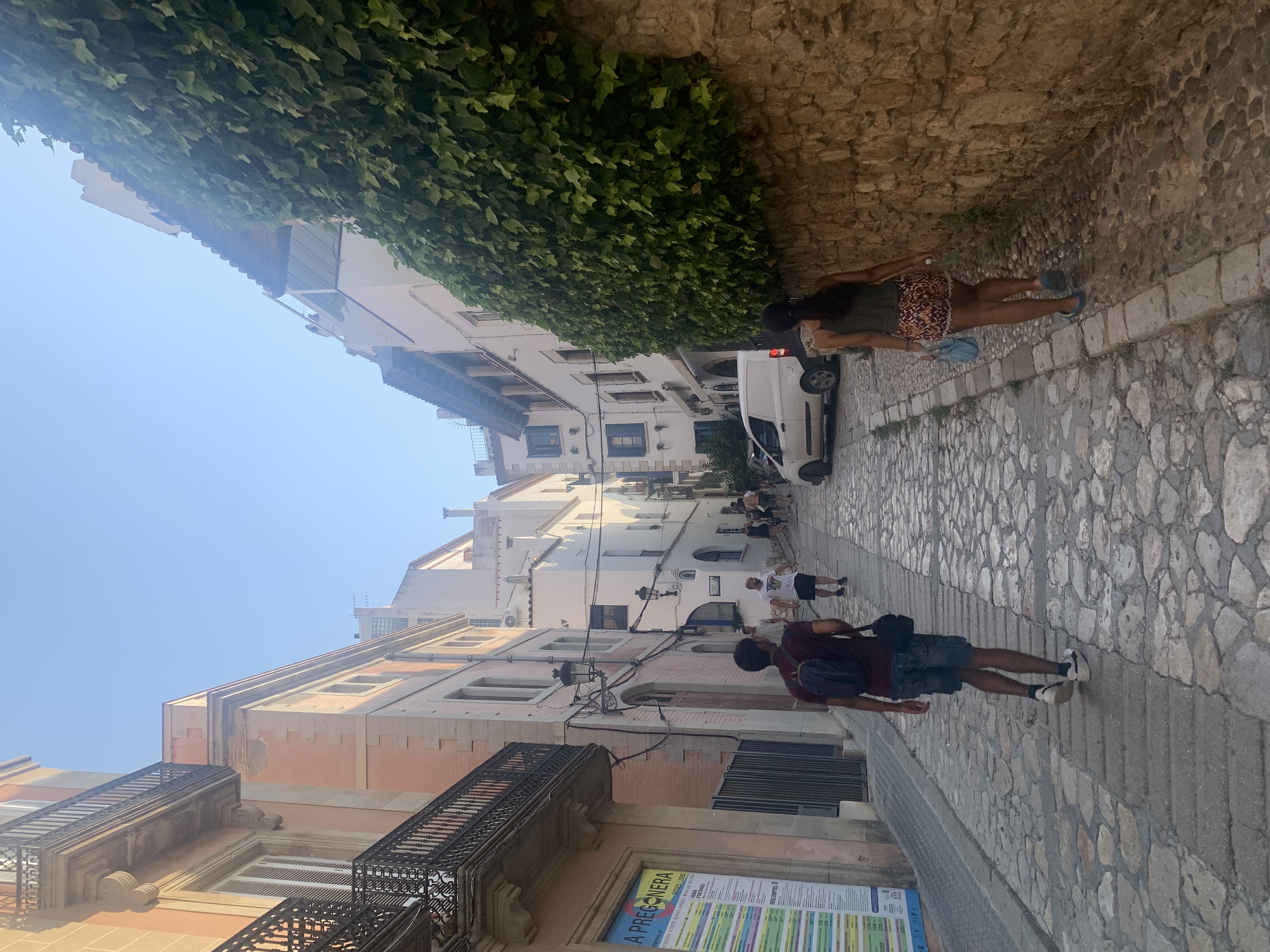 IMG_2056.jpeg