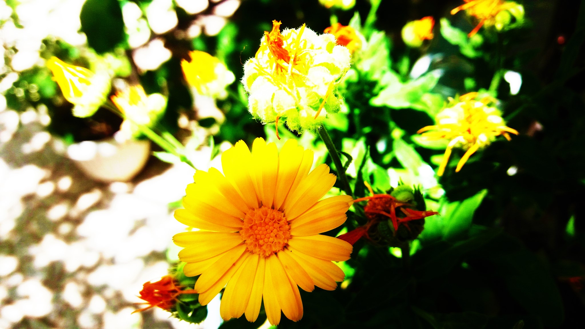 CYMERA_20200519_102236.jpg