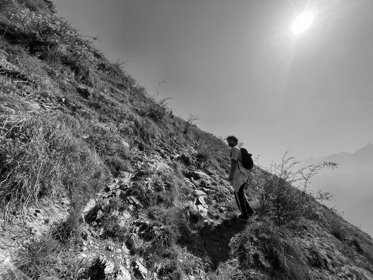 IMG_3741.jpeg
