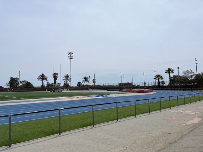 Short Fartlek + core
