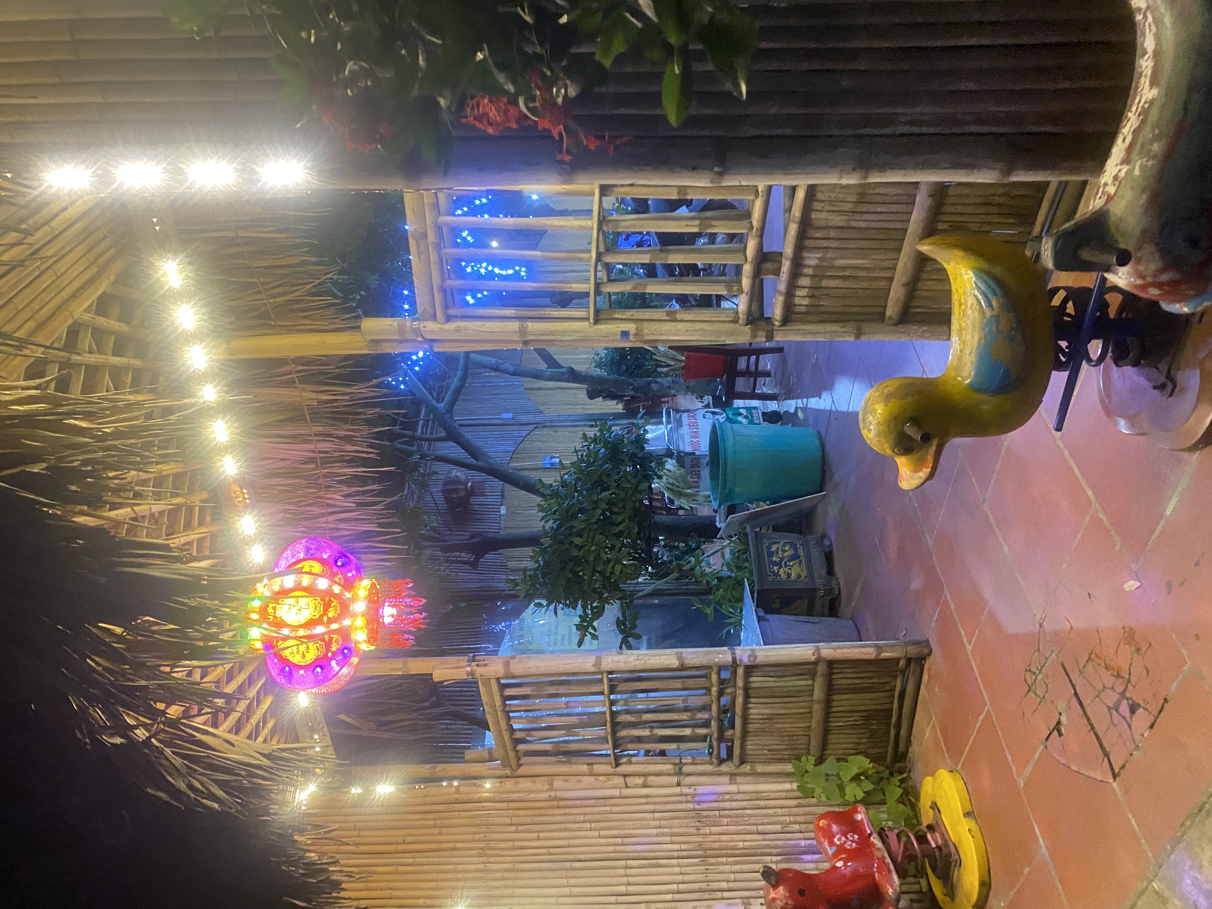 IMG_8237.jpeg