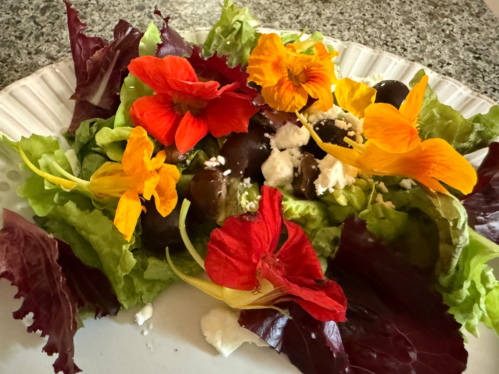 silverbloggers-hivegarden-salad.jpg