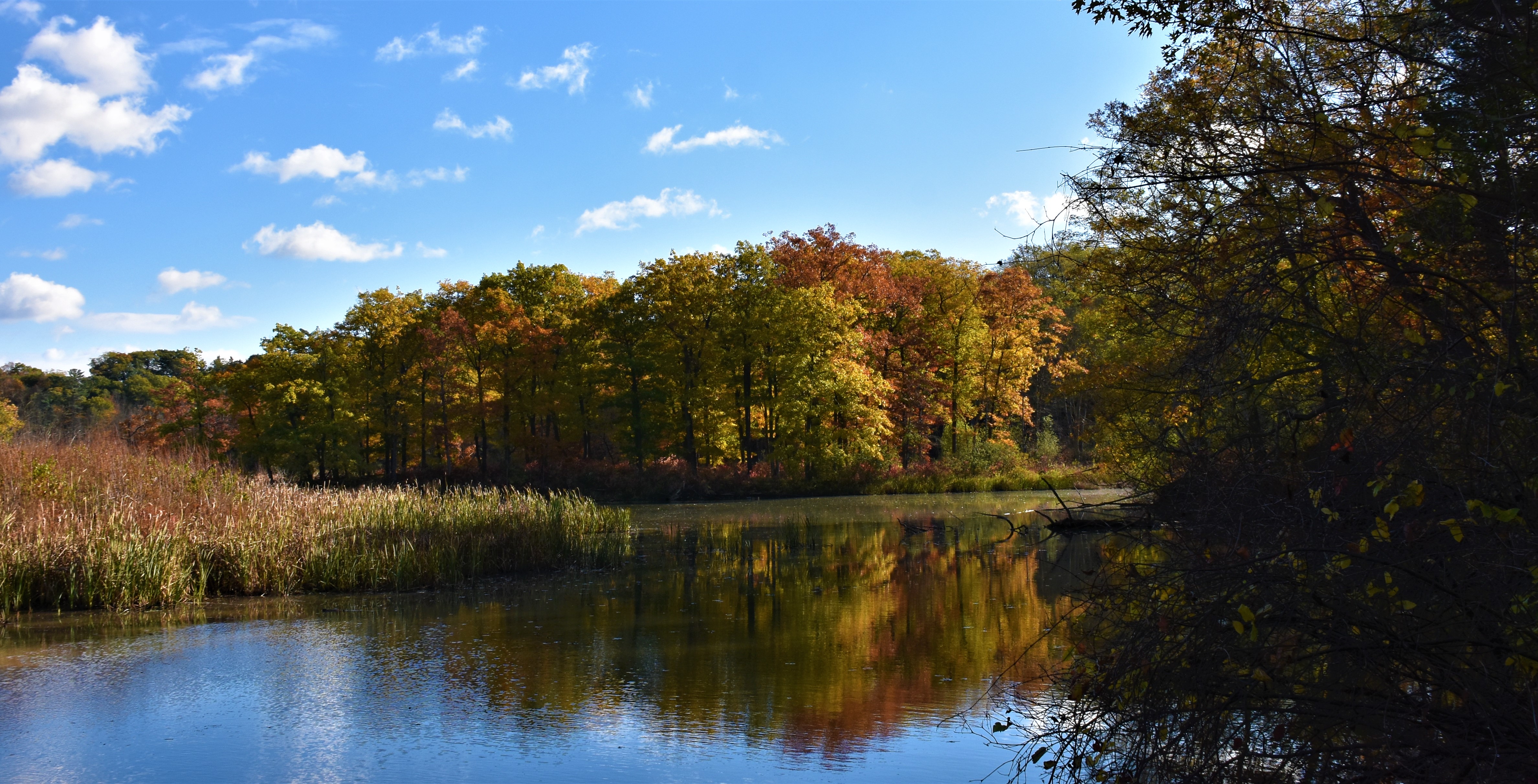 DSC_6148.JPG
