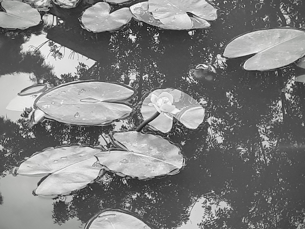 20250717_180620.jpg