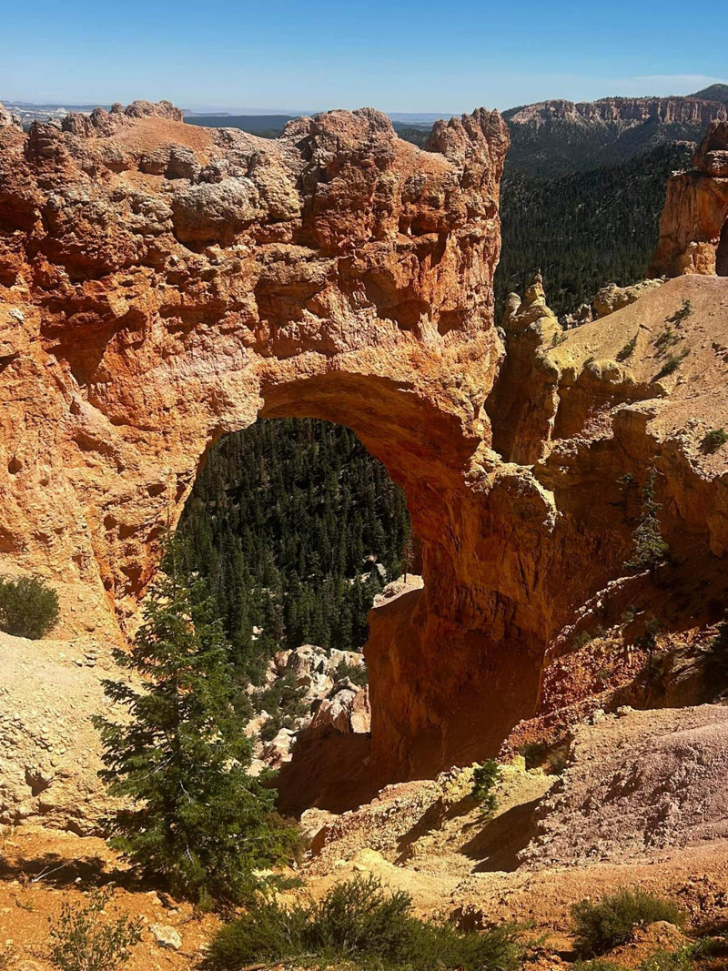 bryce3.jpg