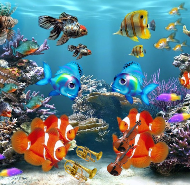 aquarium-284551_960_720.jpg