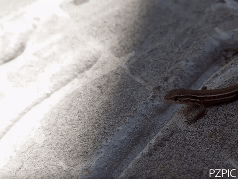 1000105436.gif