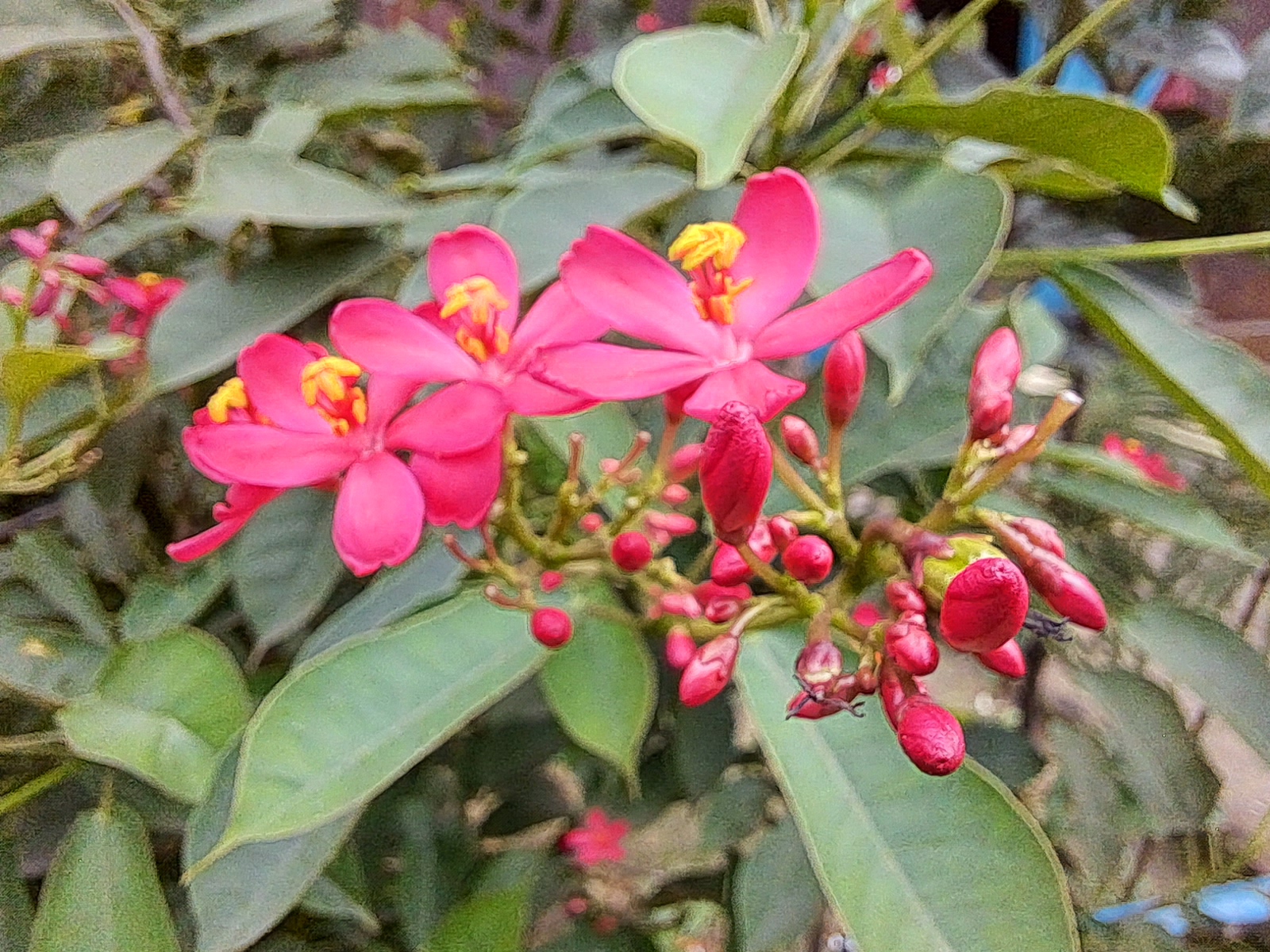 20220930_135044.jpg