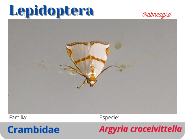 @abneagro(1).png