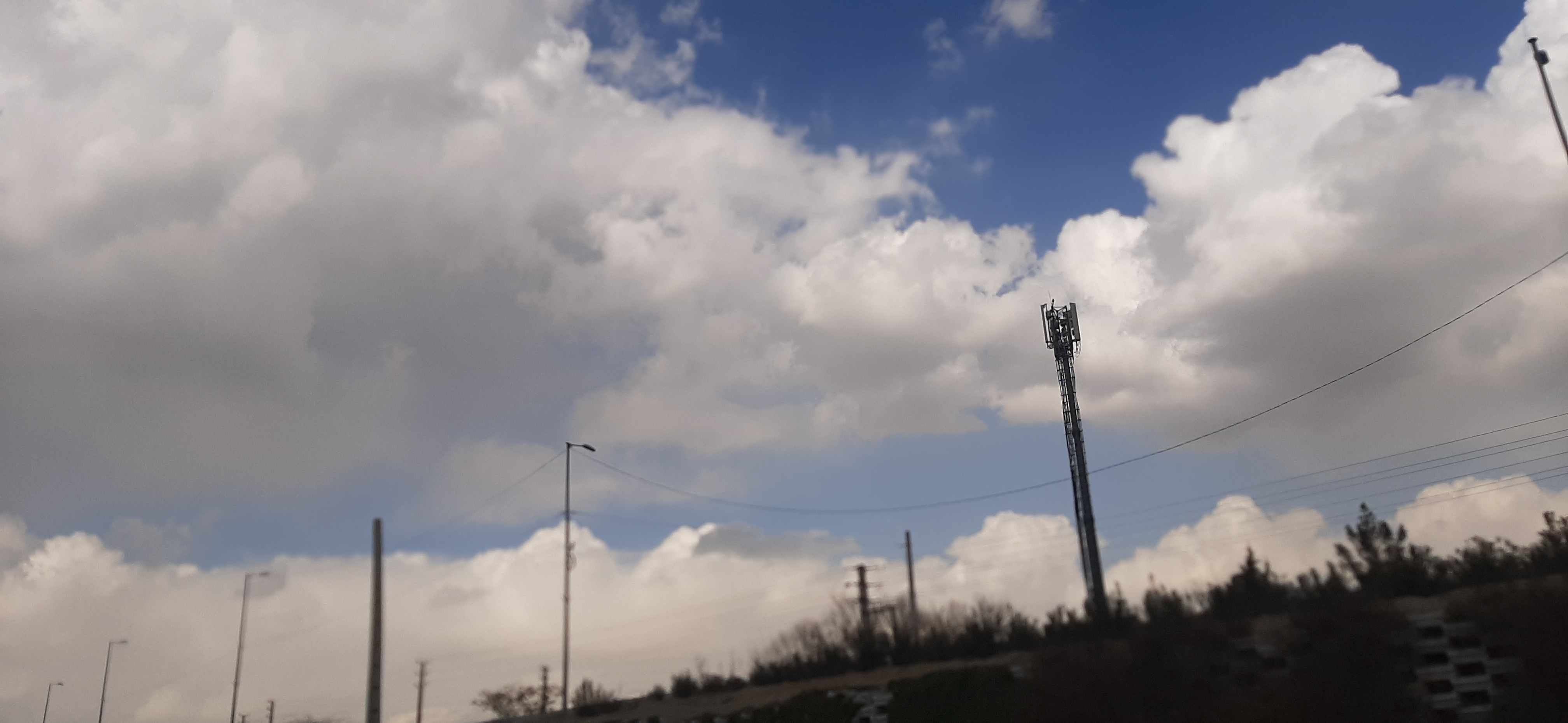 20230202_125825.jpg