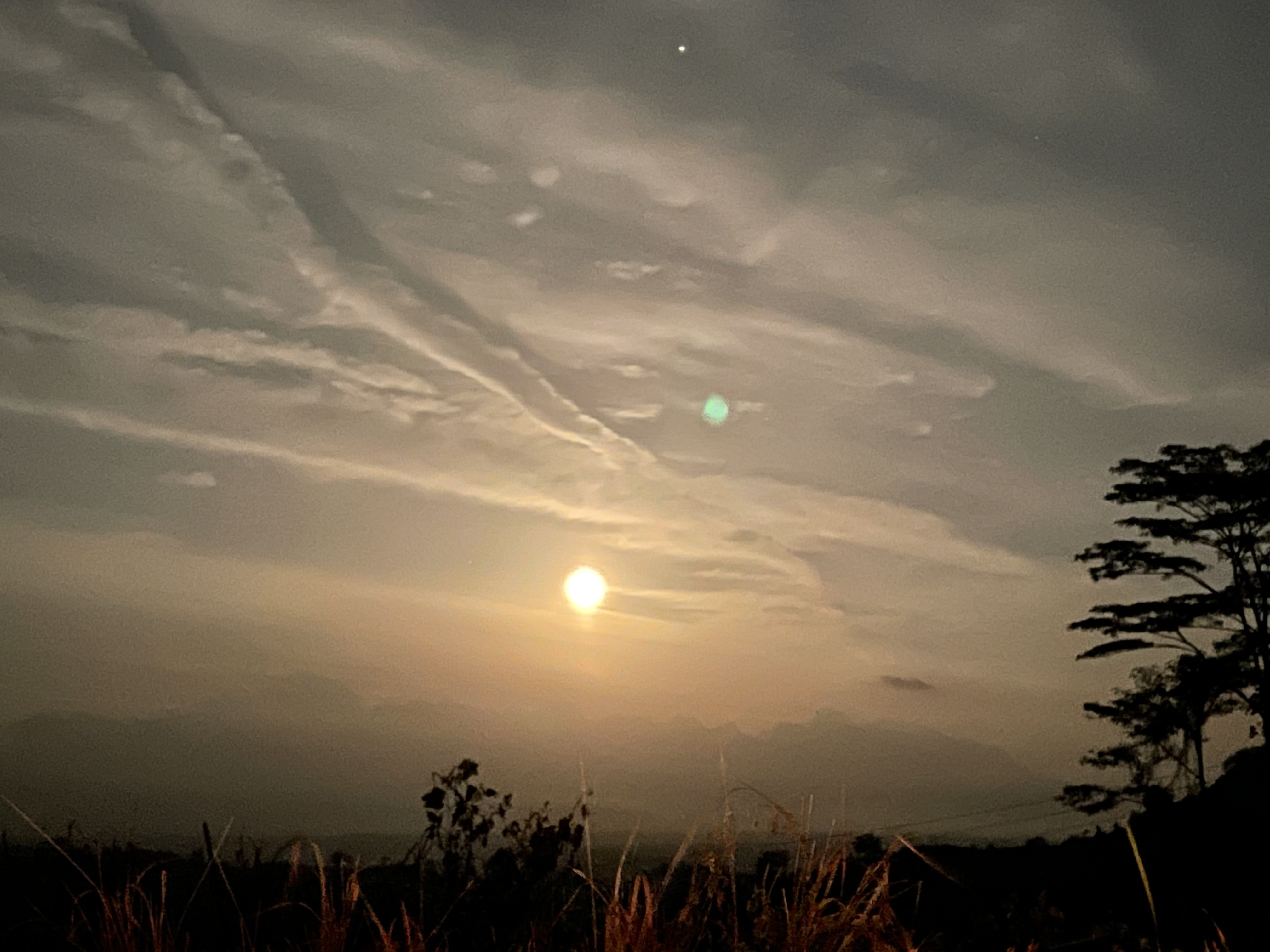 BC68CD23-C992-4E33-8637-70AB5062805D.jpeg