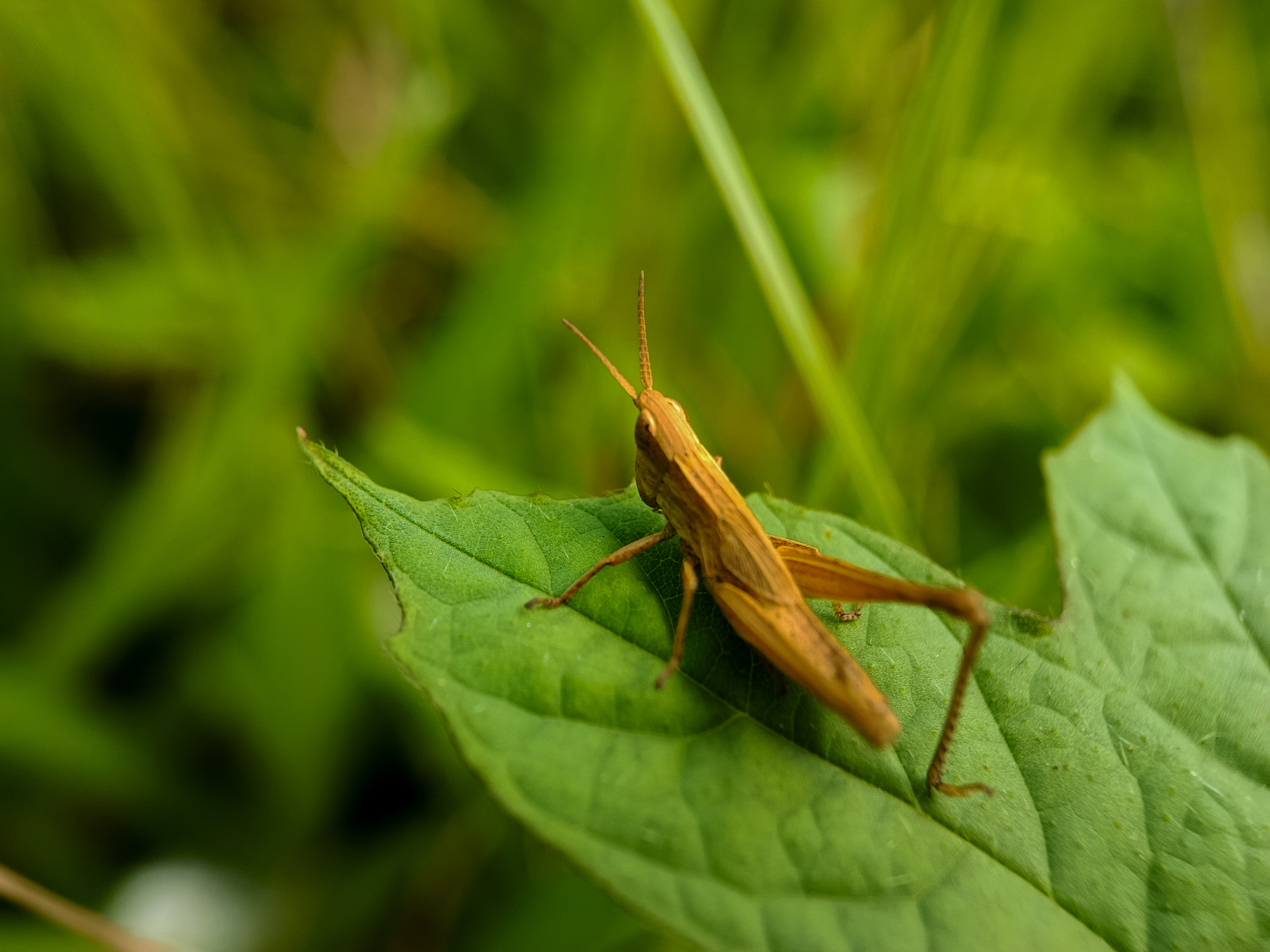 IMG_20250623_152010.jpg