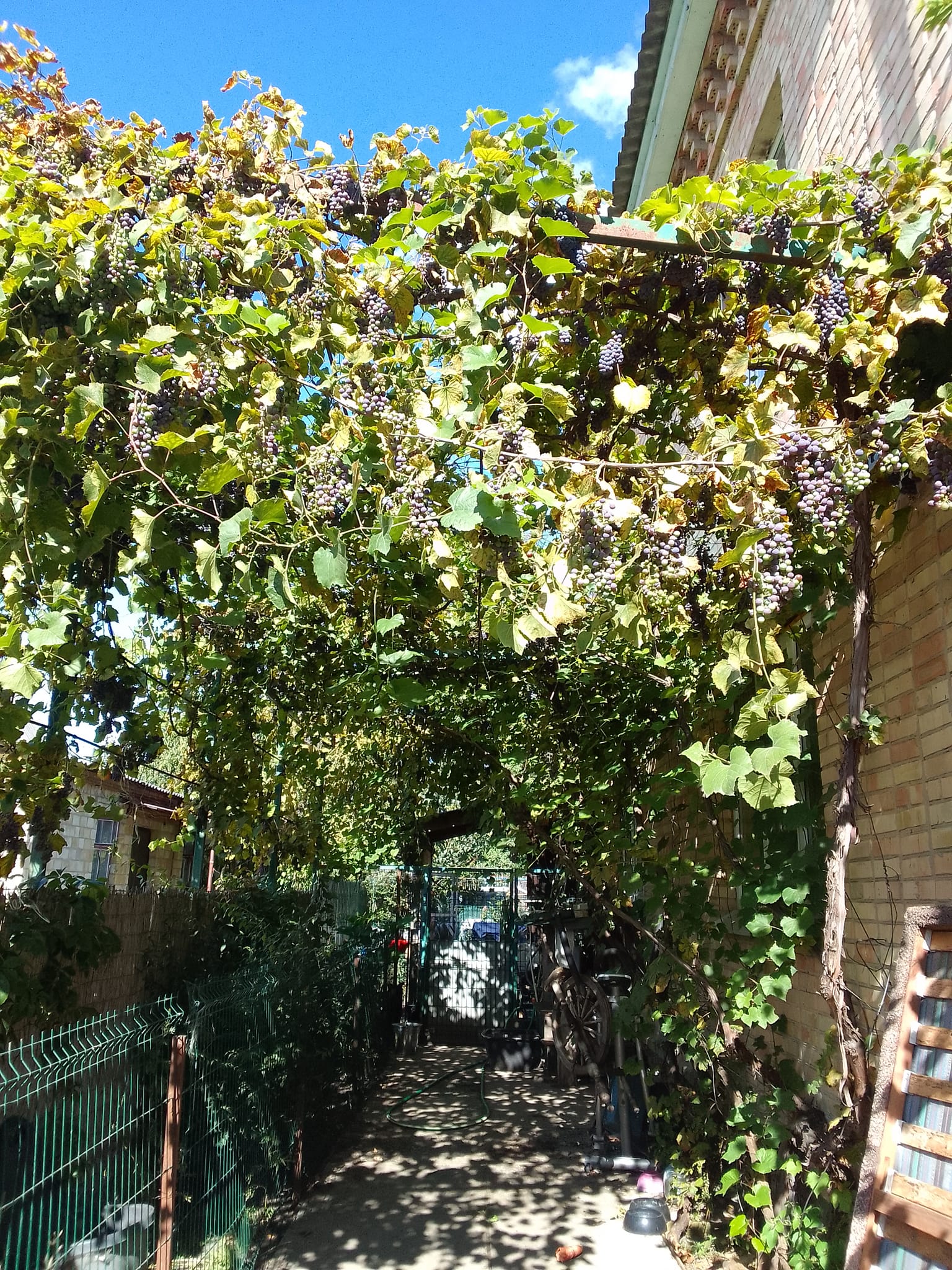 IMG_1112.jpeg