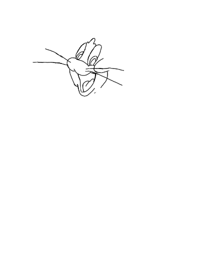 Untitled52_20250827185618.png