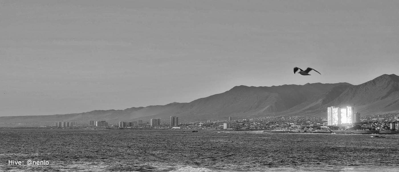 antofagasta-view-002-bw.jpg