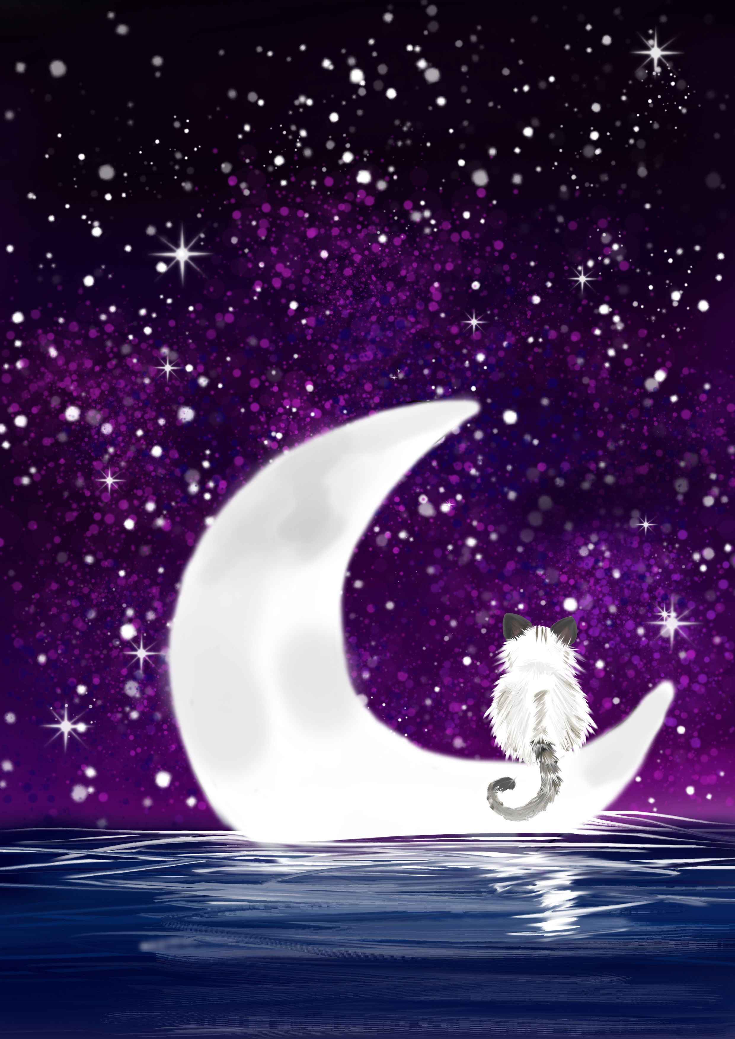 el gato sobre la luna 3.jpg