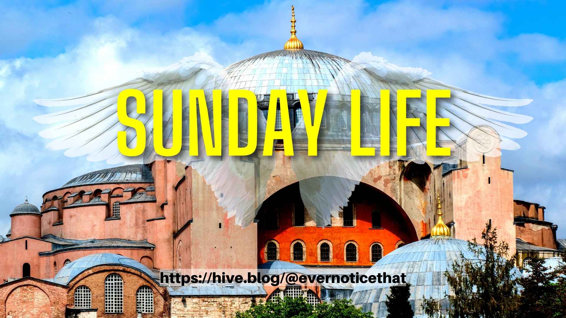 sunday-life-blog-church-religion-spirituality-hive @EverNoticeThat  httpshive.blog@evernoticethat.jpg
