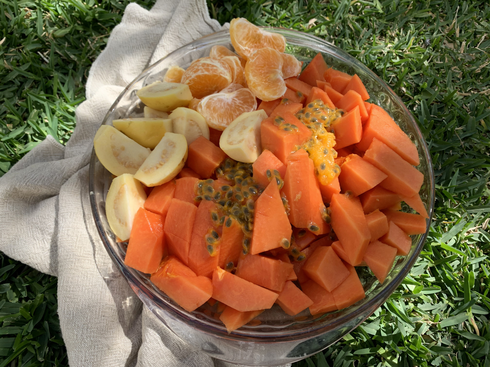Papaya meal bowl.jpg